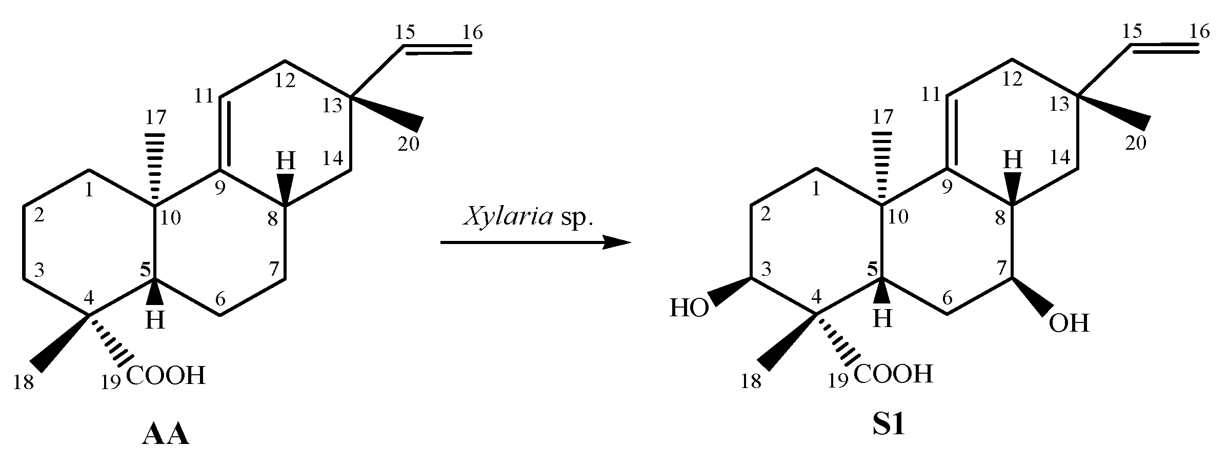 Antibiotics 12 01331 g001