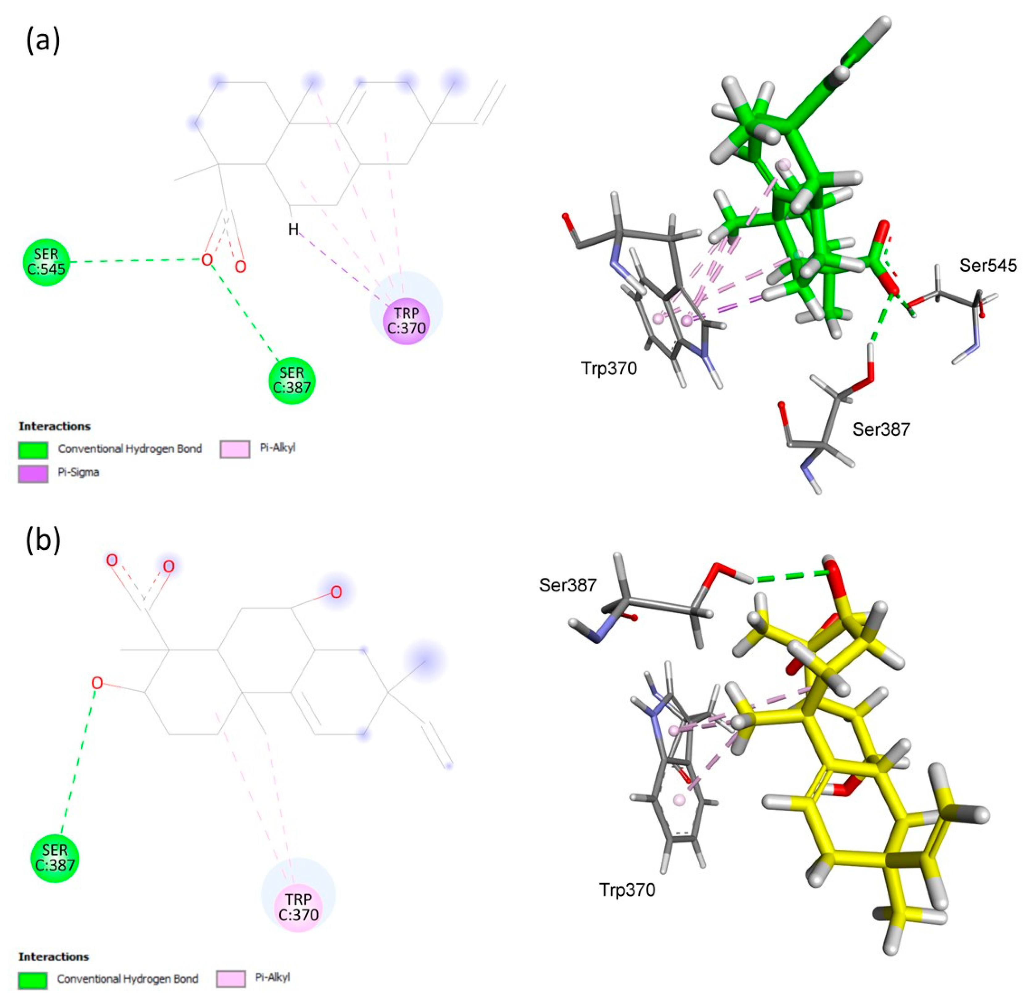 Antibiotics 12 01331 g003
