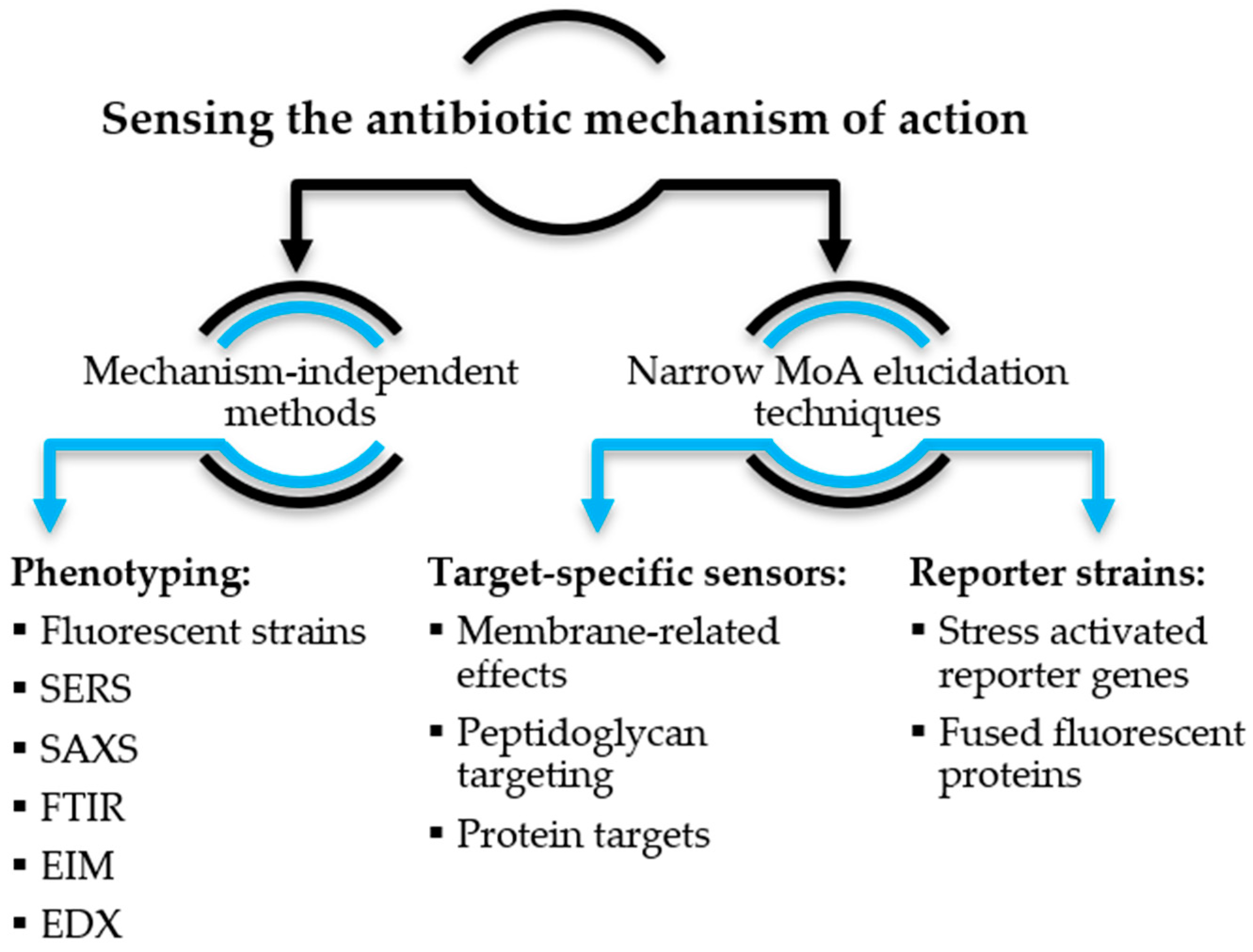Antibiotics 12 01340 g002