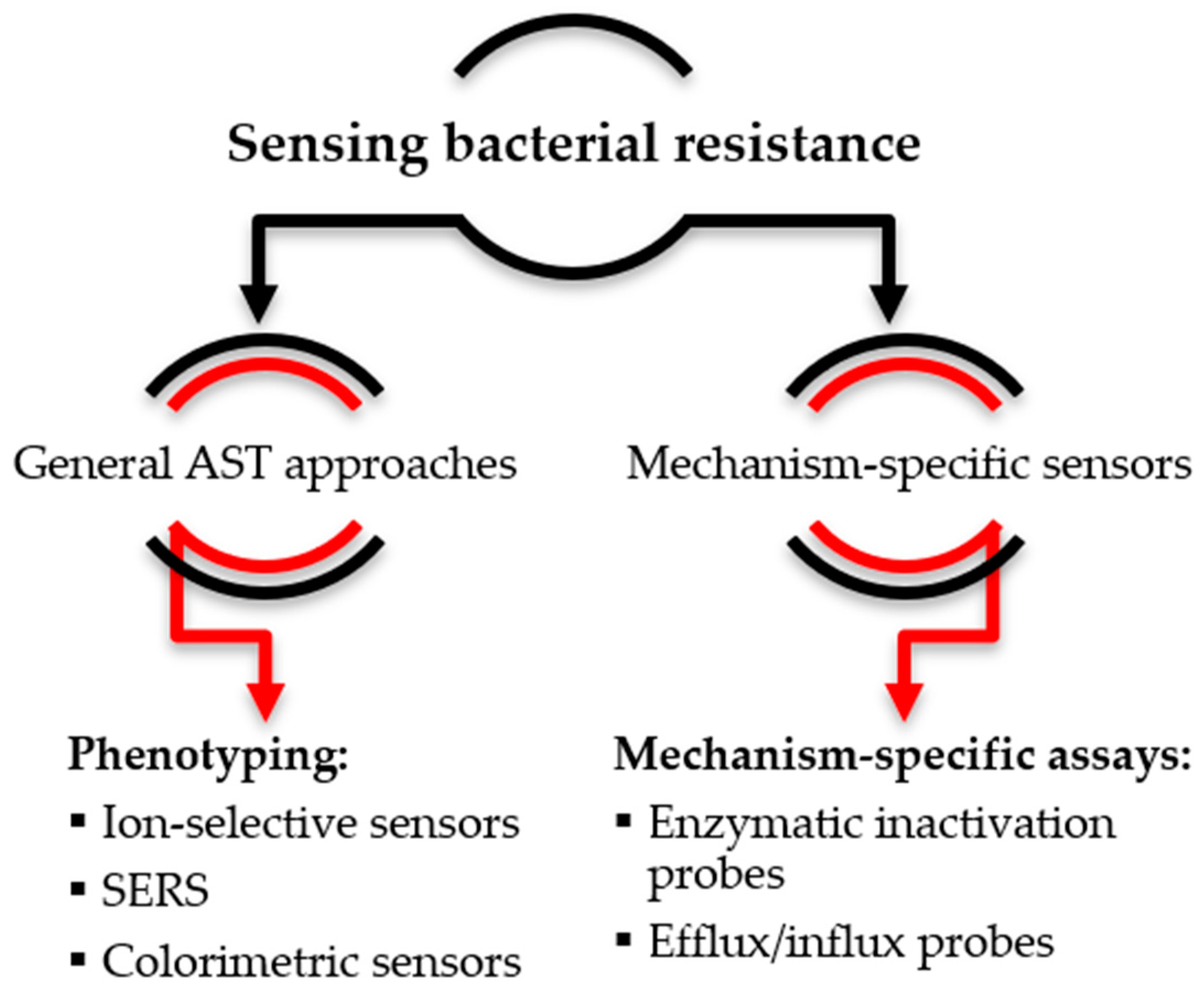 Antibiotics 12 01340 g003