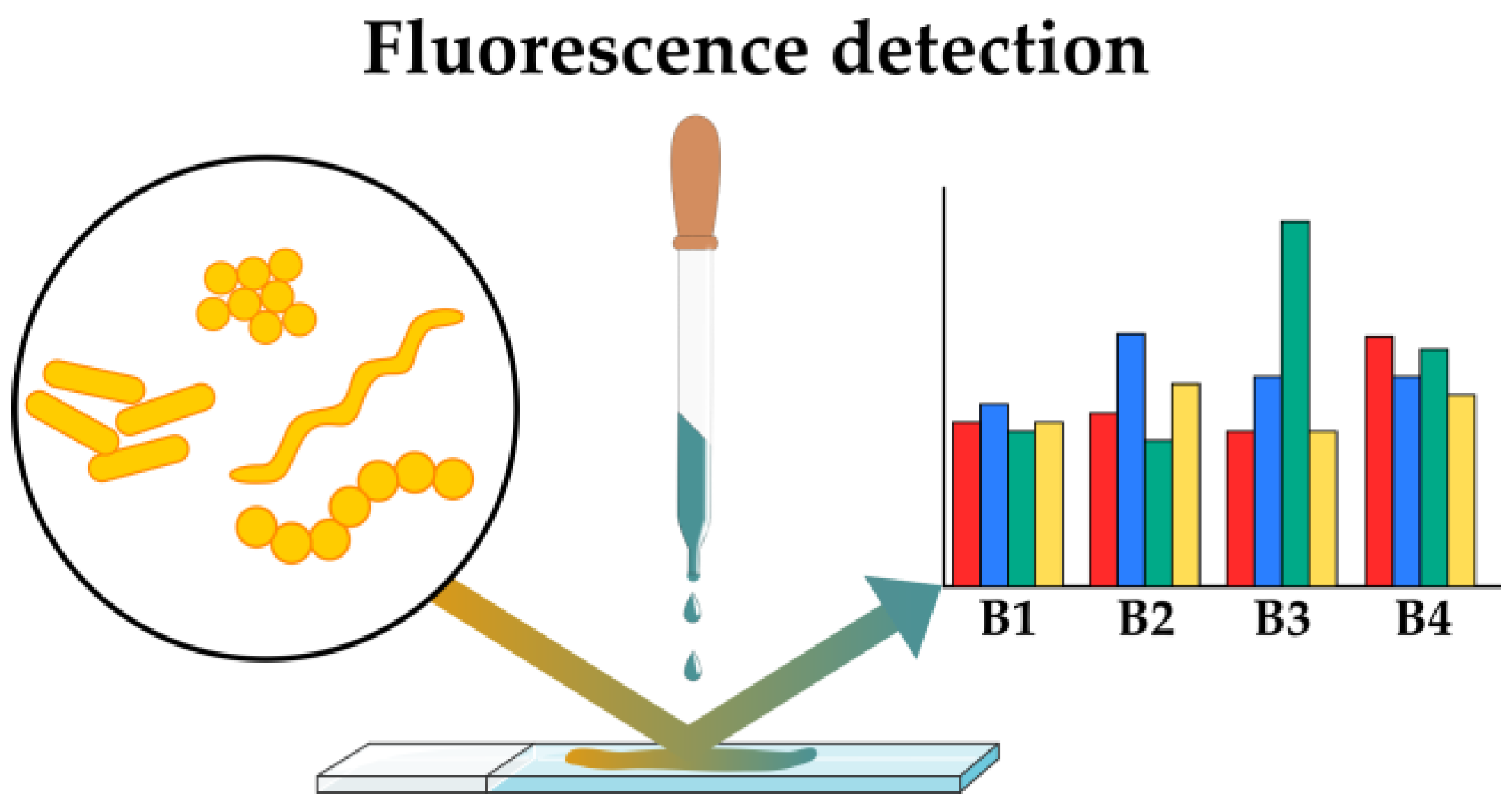 Antibiotics 12 01340 g006