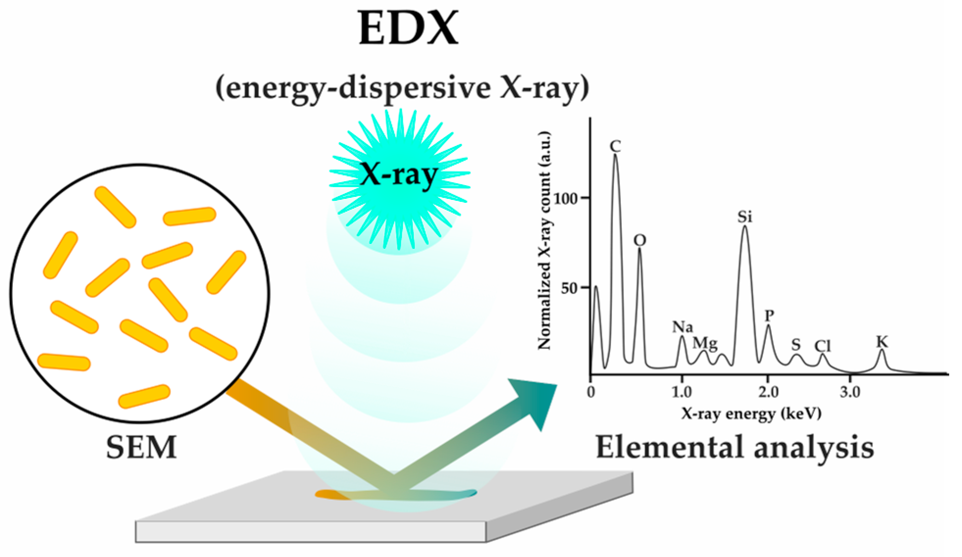 Antibiotics 12 01340 g011