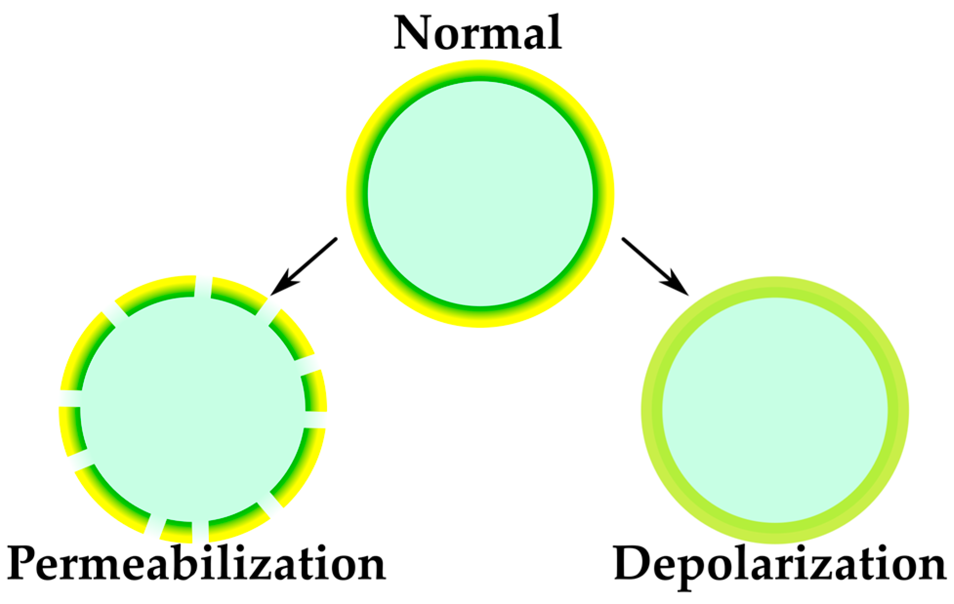 Antibiotics 12 01340 g013