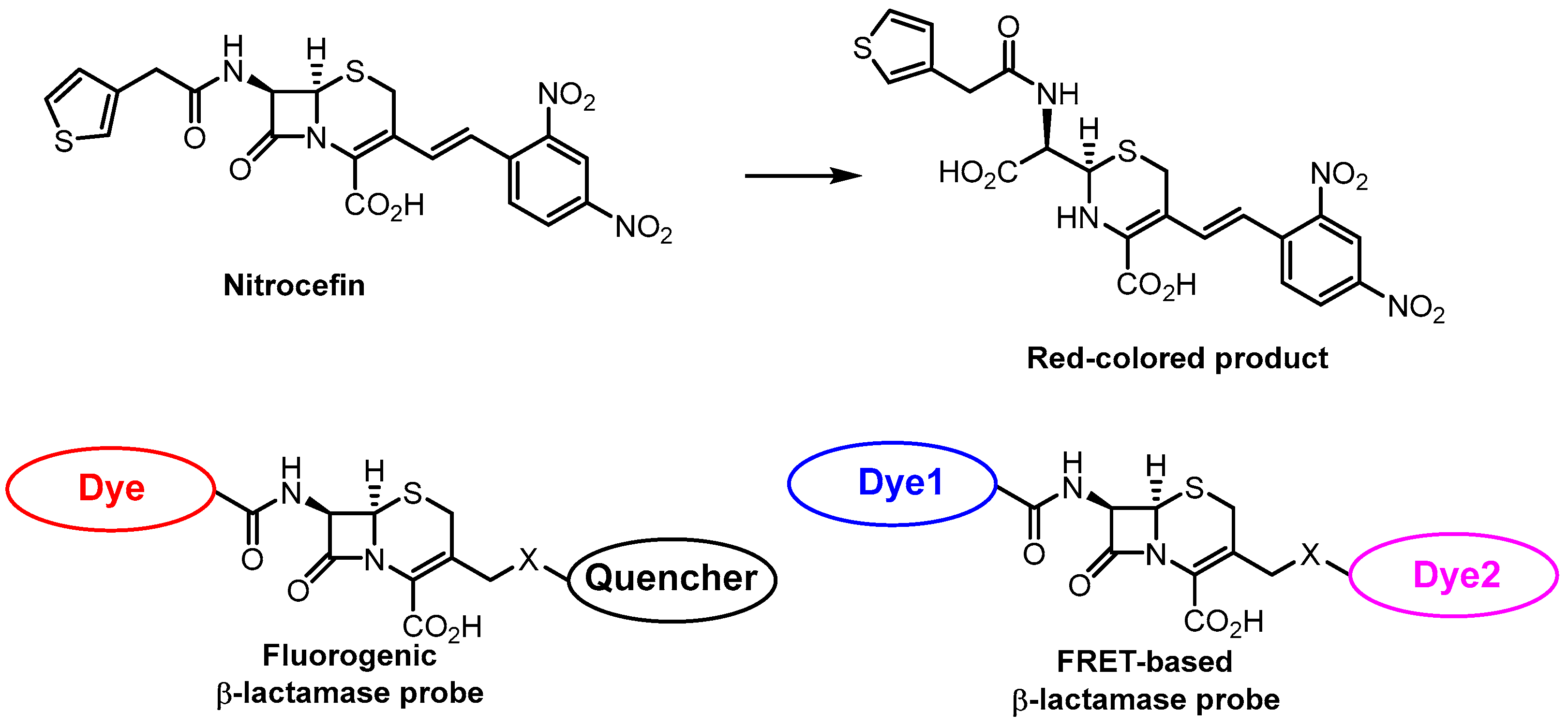 Antibiotics 12 01340 g017