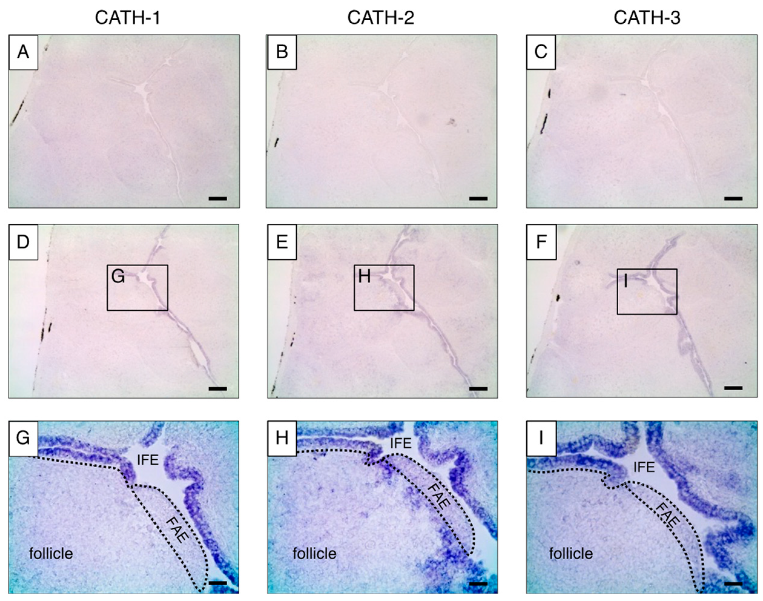 Antibiotics 12 01341 g003