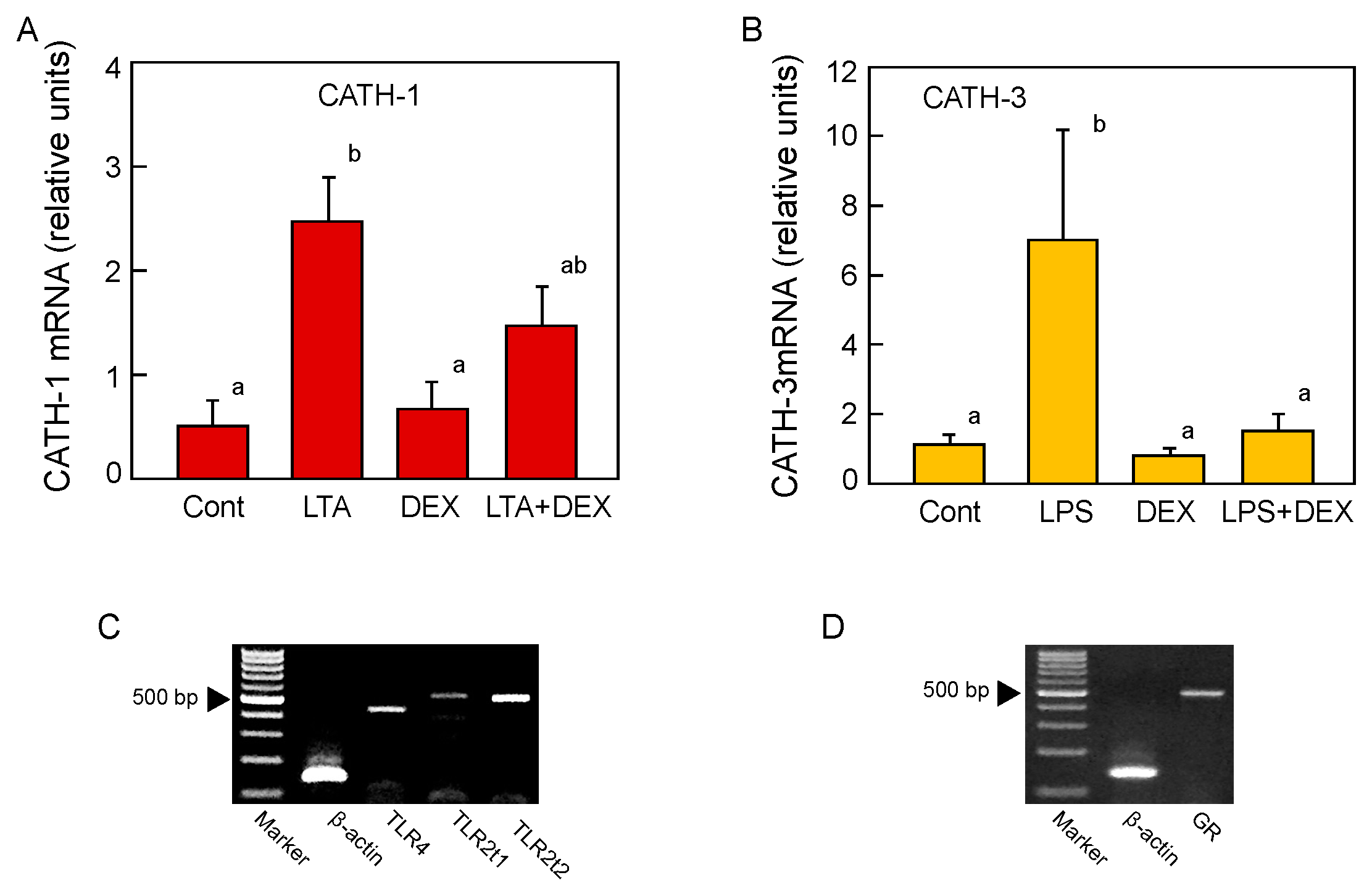 Antibiotics 12 01341 g006