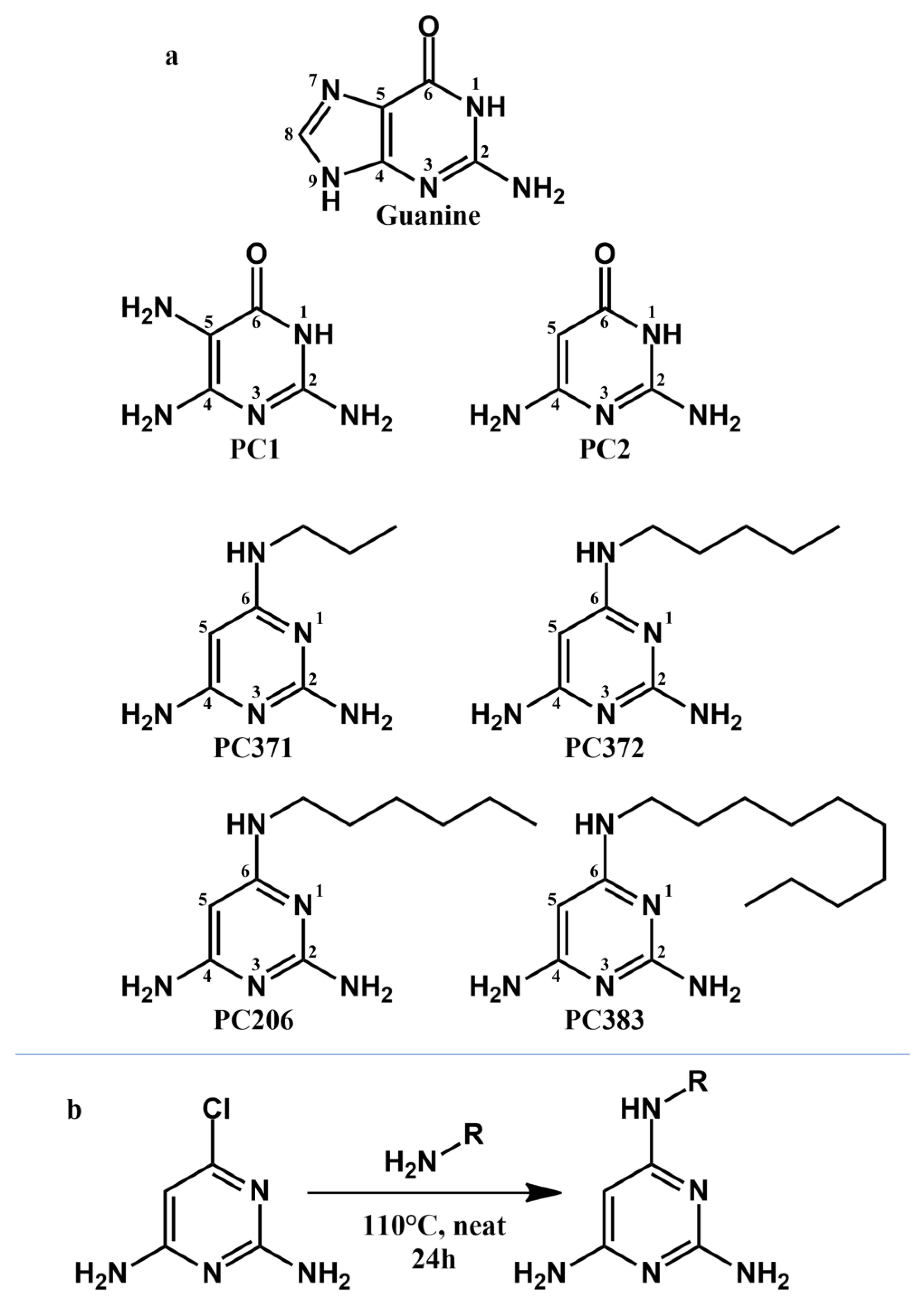 Antibiotics 12 01344 g001