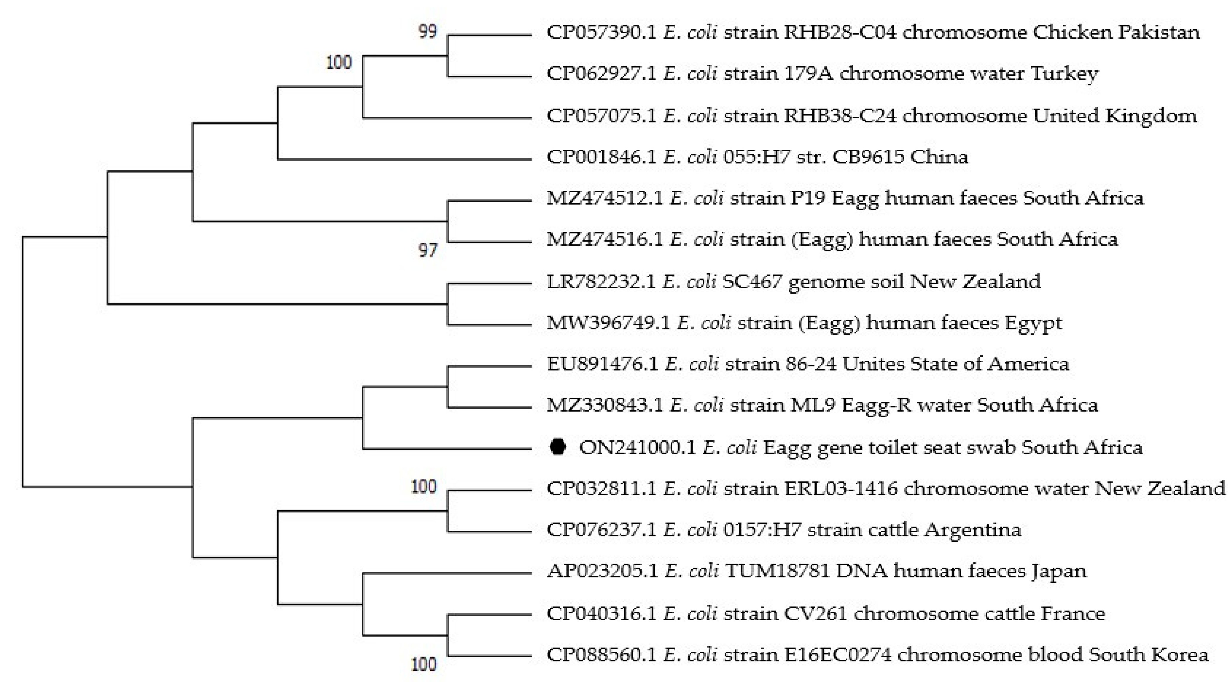 Antibiotics 12 01345 g004