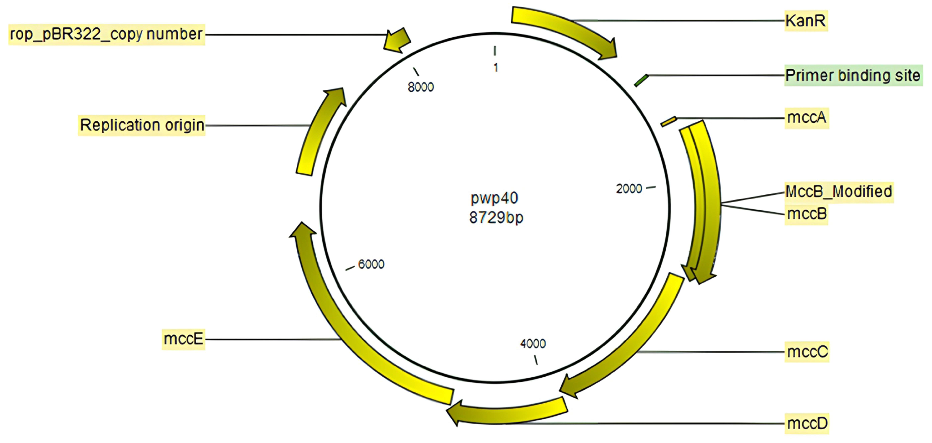 Antibiotics 12 01346 g002