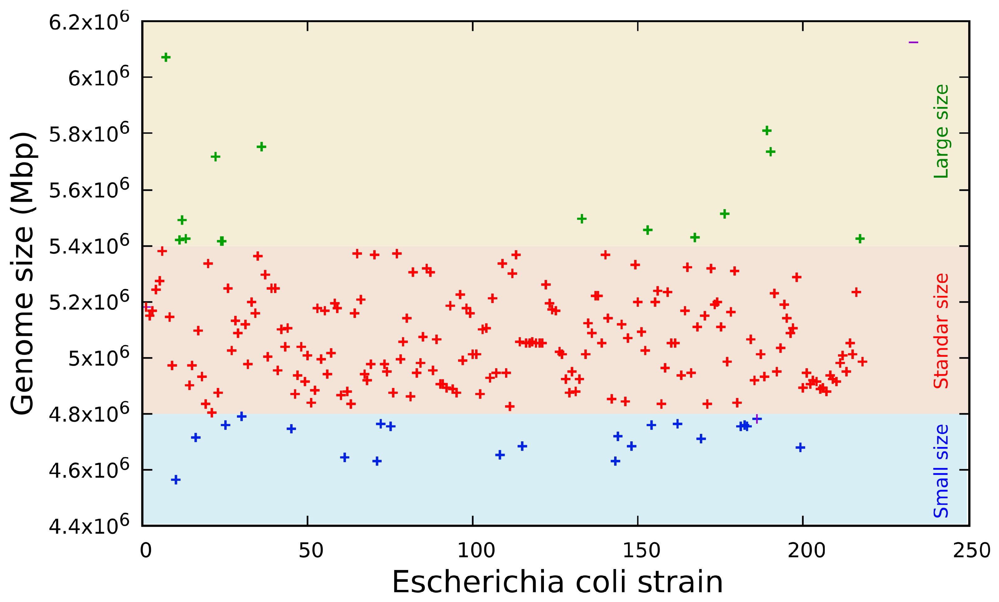 Antibiotics 12 01355 g001