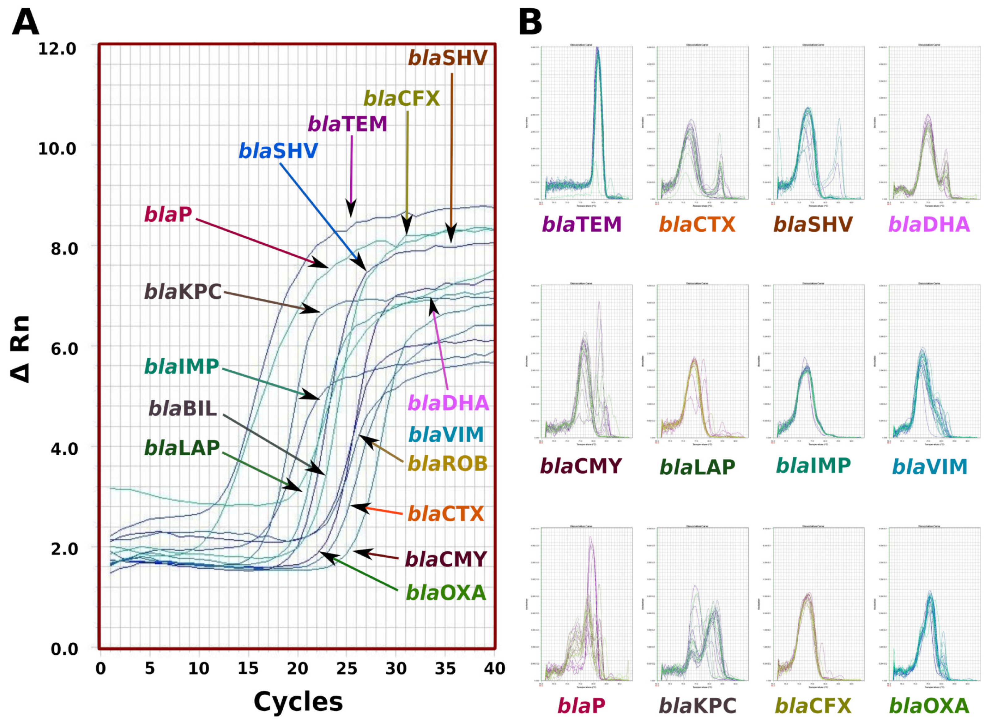 Antibiotics 12 01355 g002
