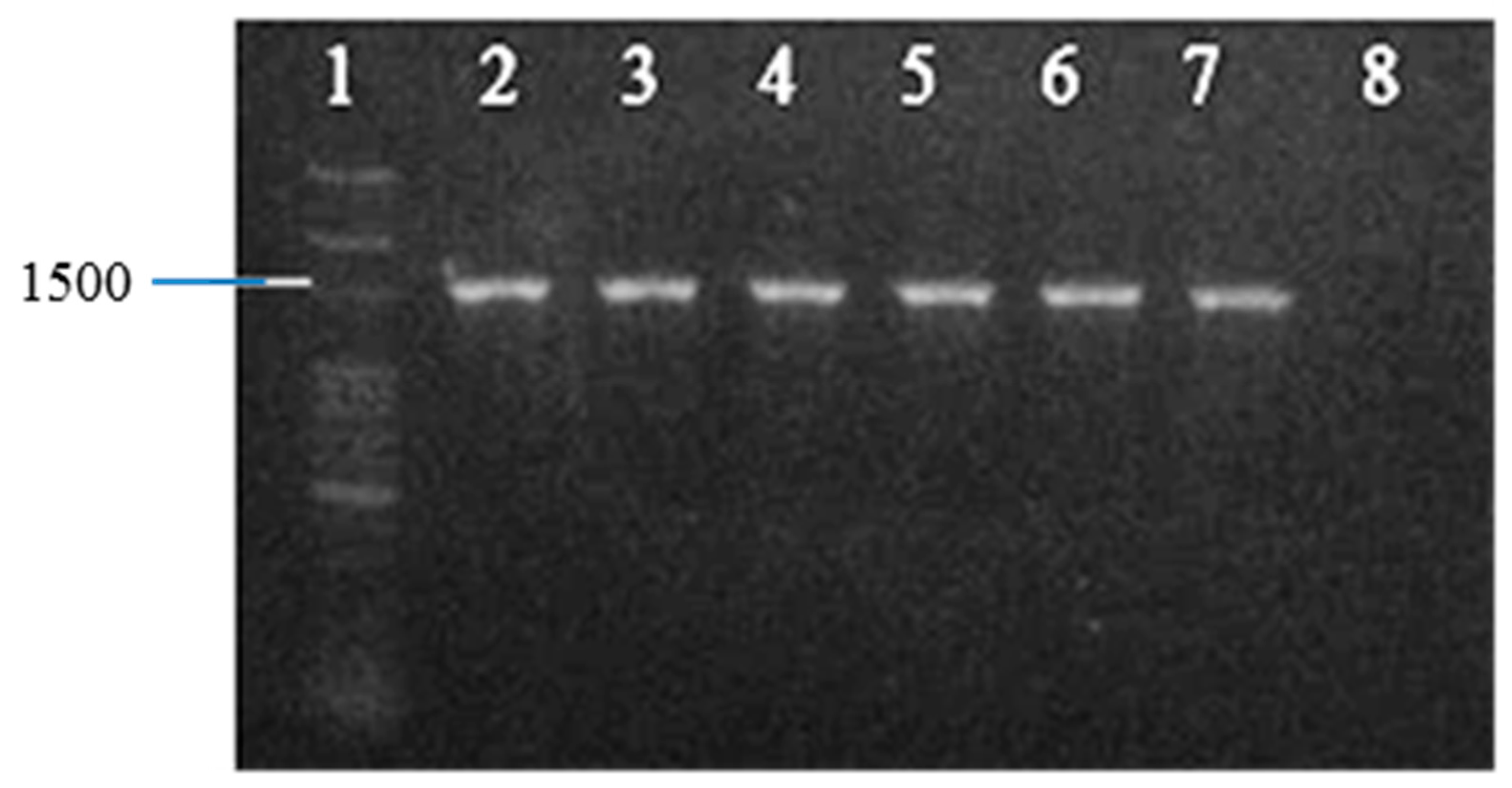 Antibiotics 12 01357 g001