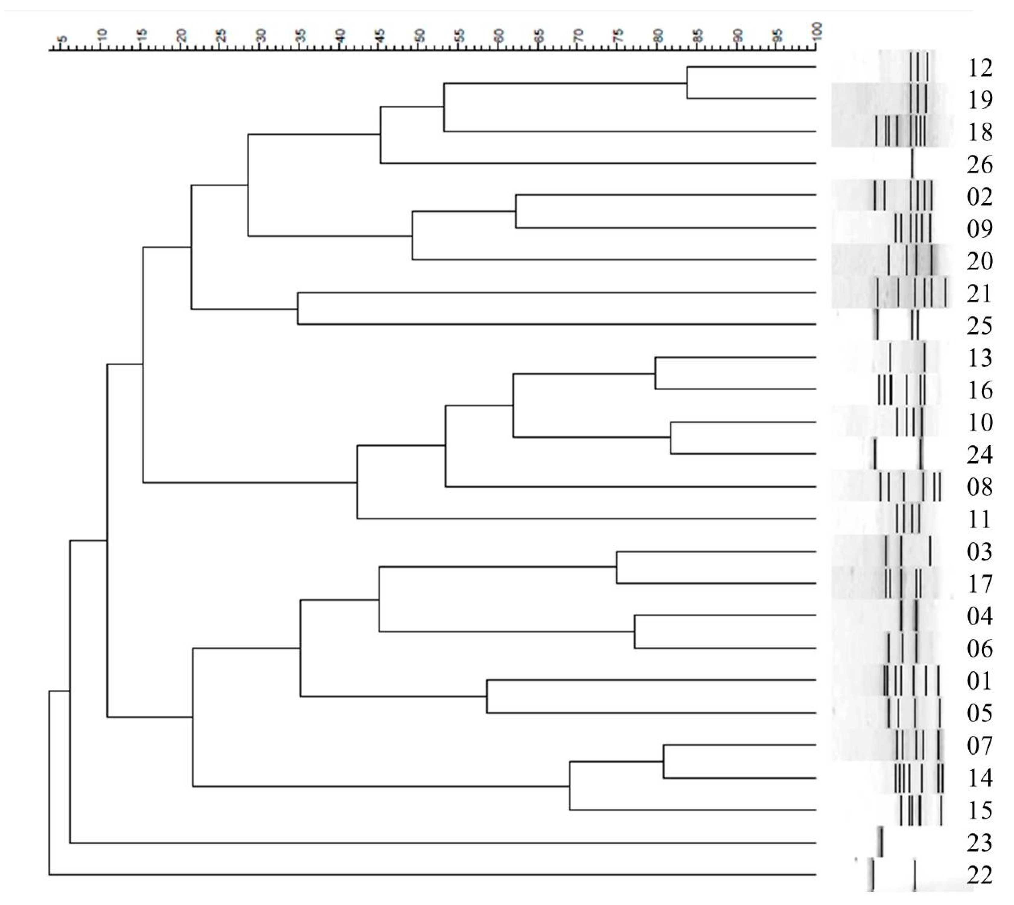 Antibiotics 12 01357 g003