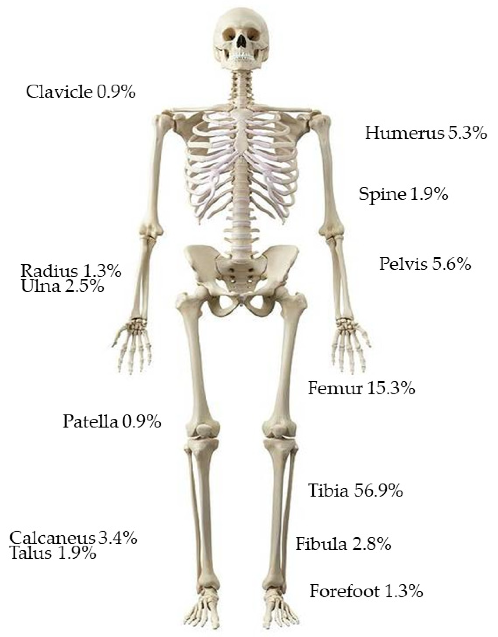 Antibiotics 12 01358 g001