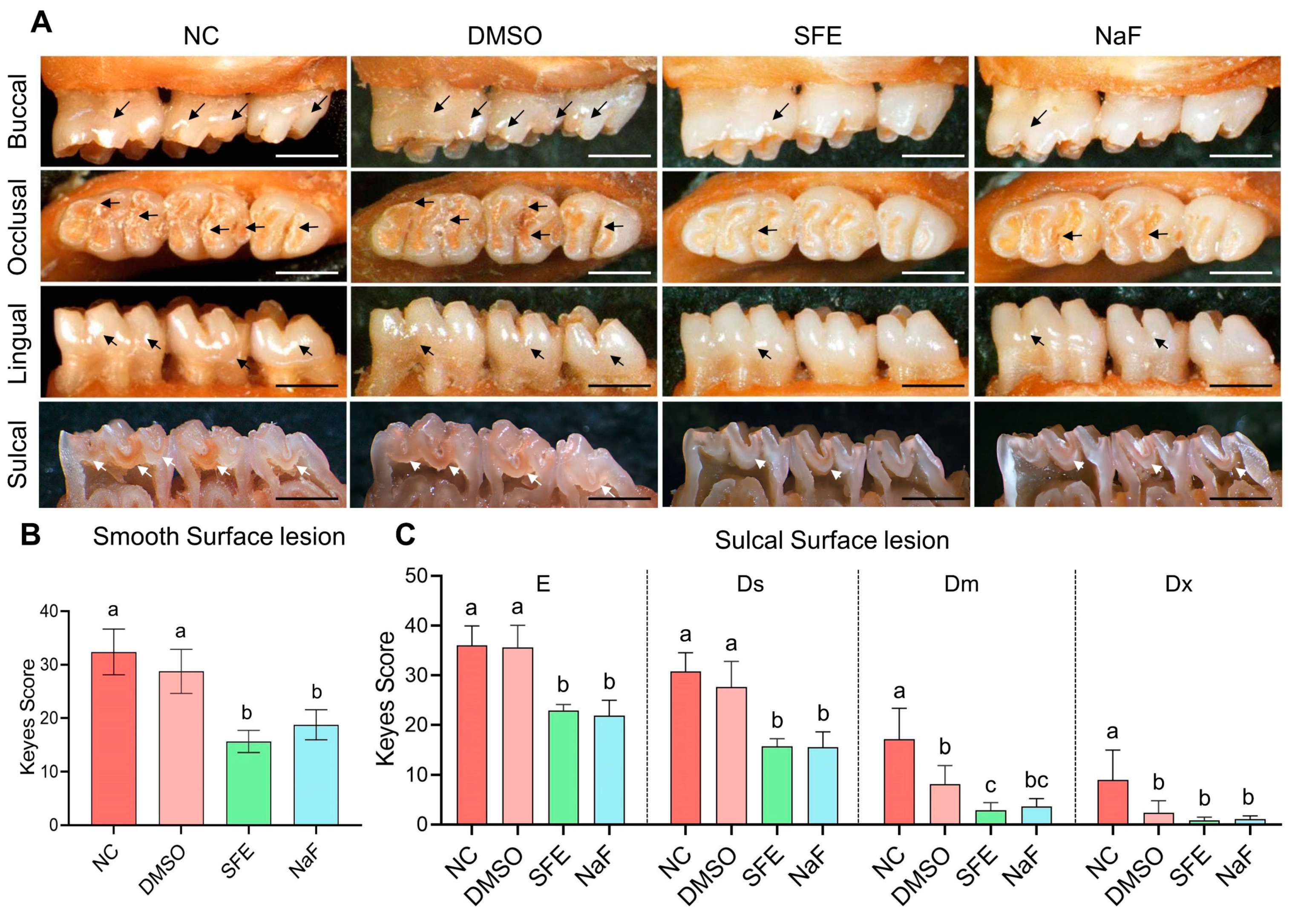 Antibiotics 12 01359 g005