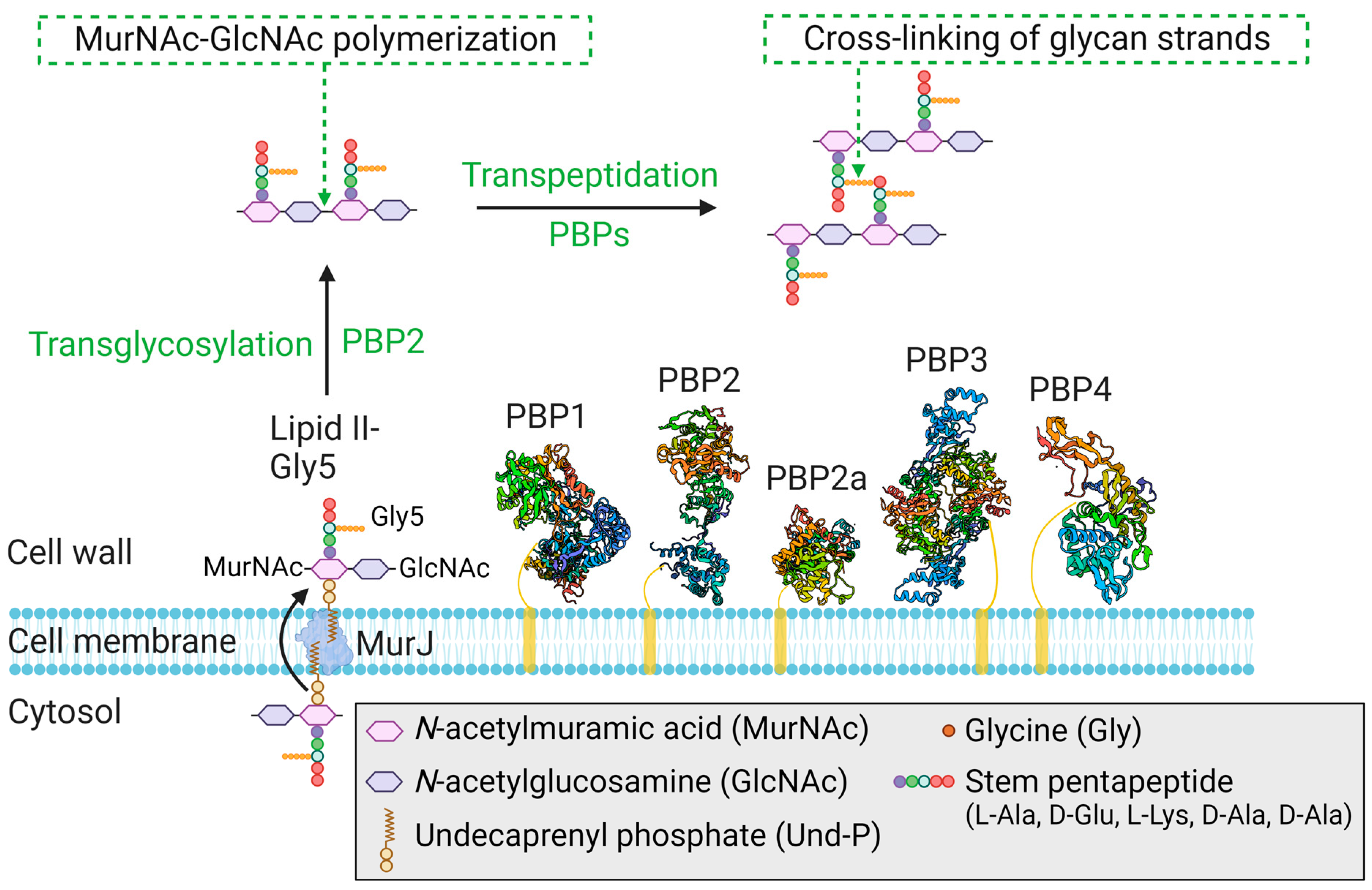 Antibiotics 12 01362 g005 Antibiotics 12 01362 g005