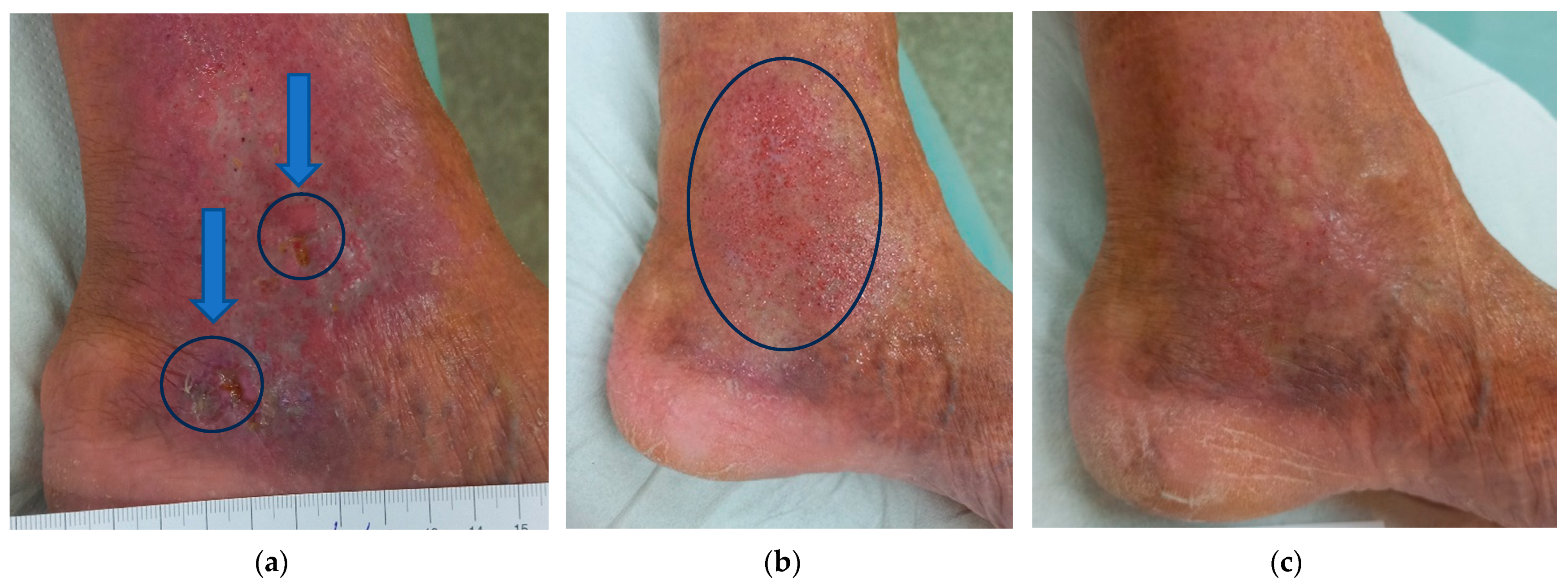 Antibiotics 12 01364 g005