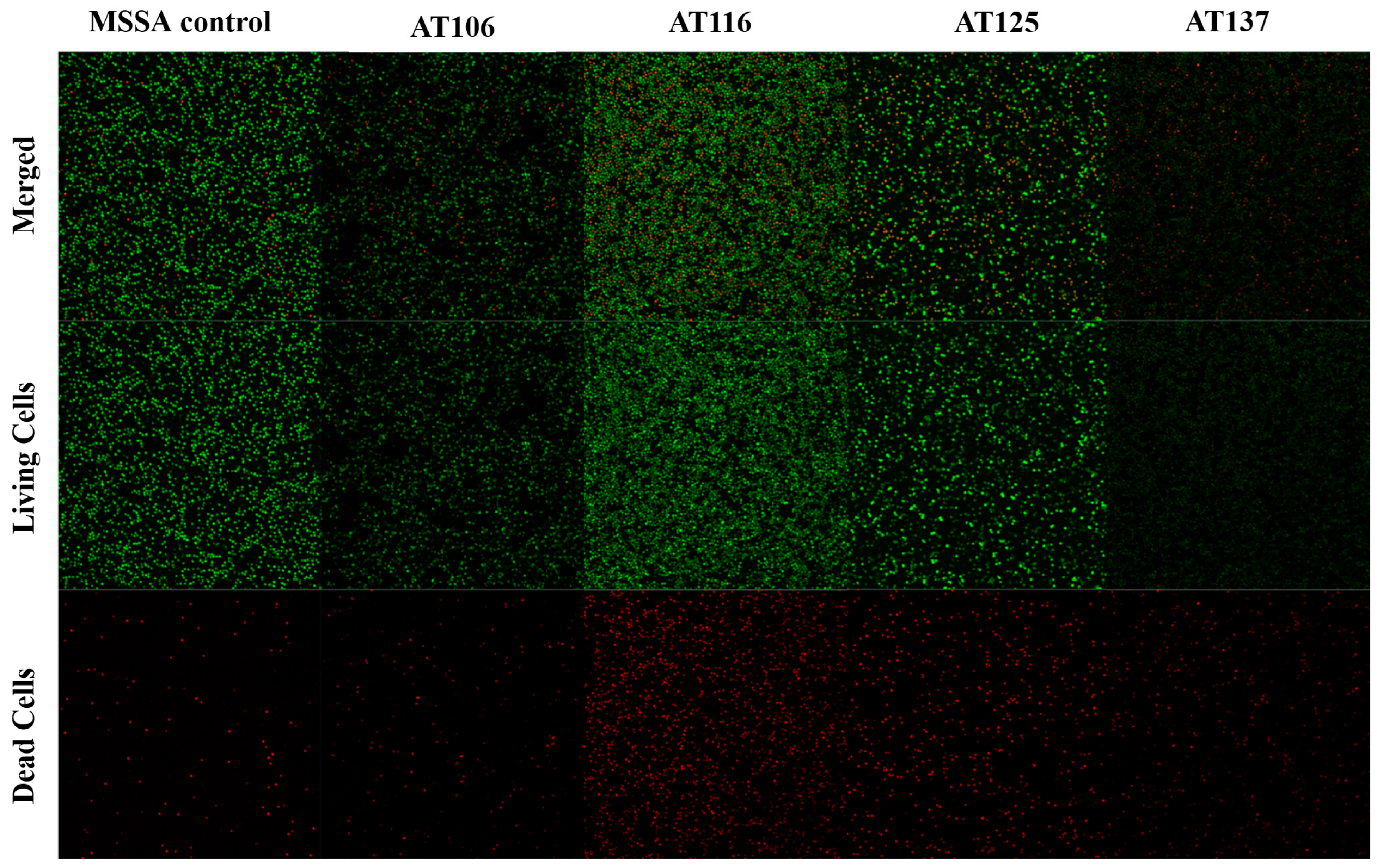 Antibiotics 12 01370 g003
