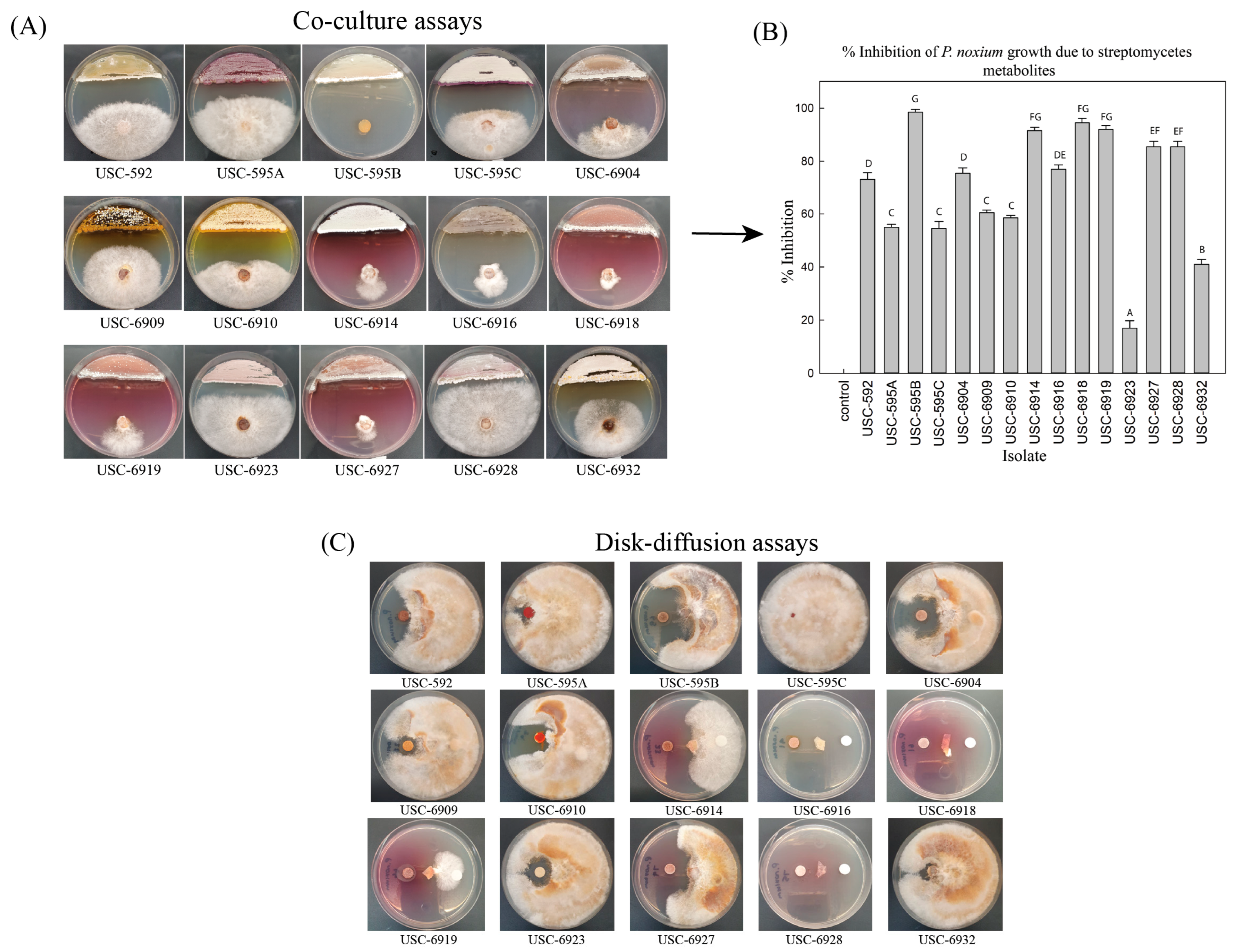 Antibiotics 12 01373 g001