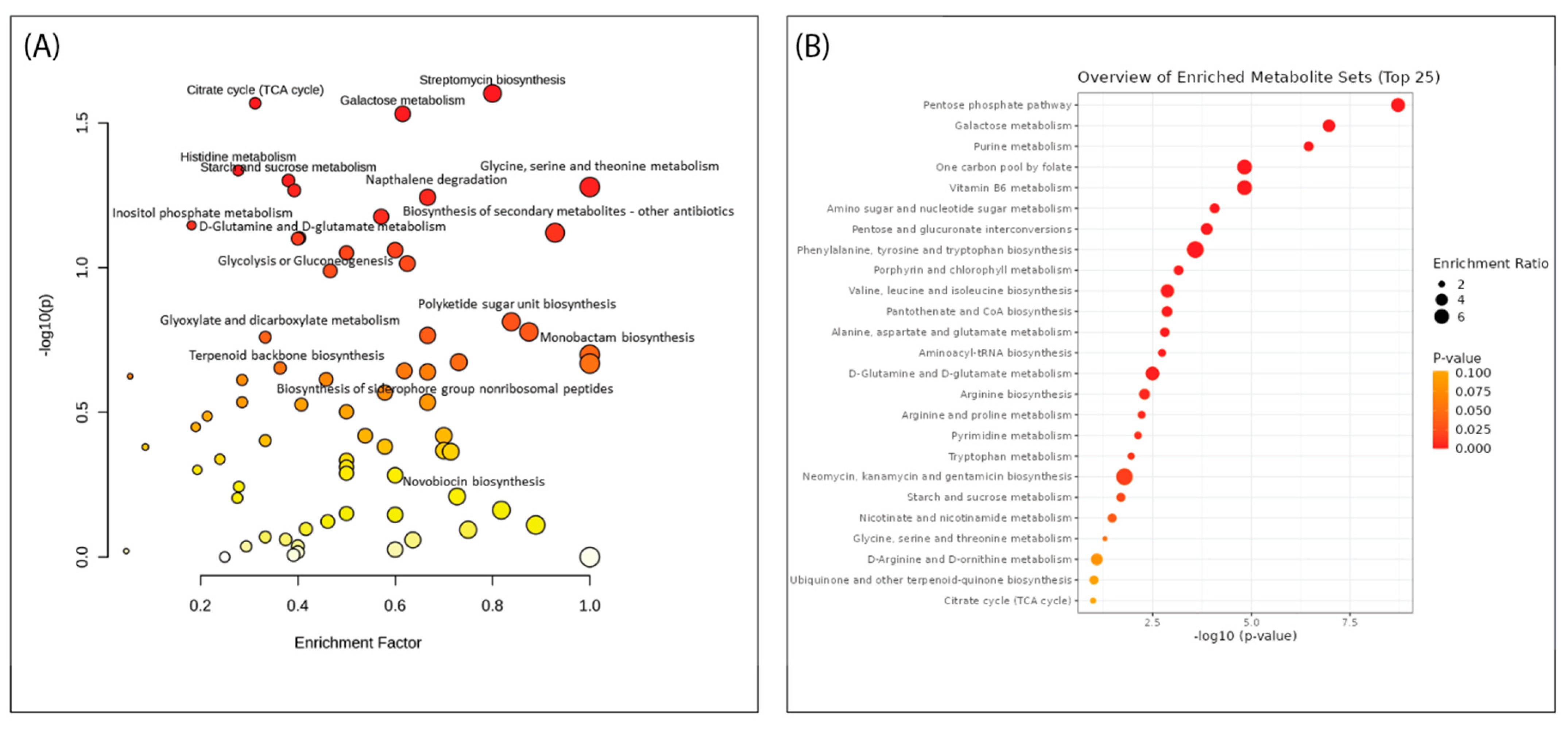 Antibiotics 12 01373 g008