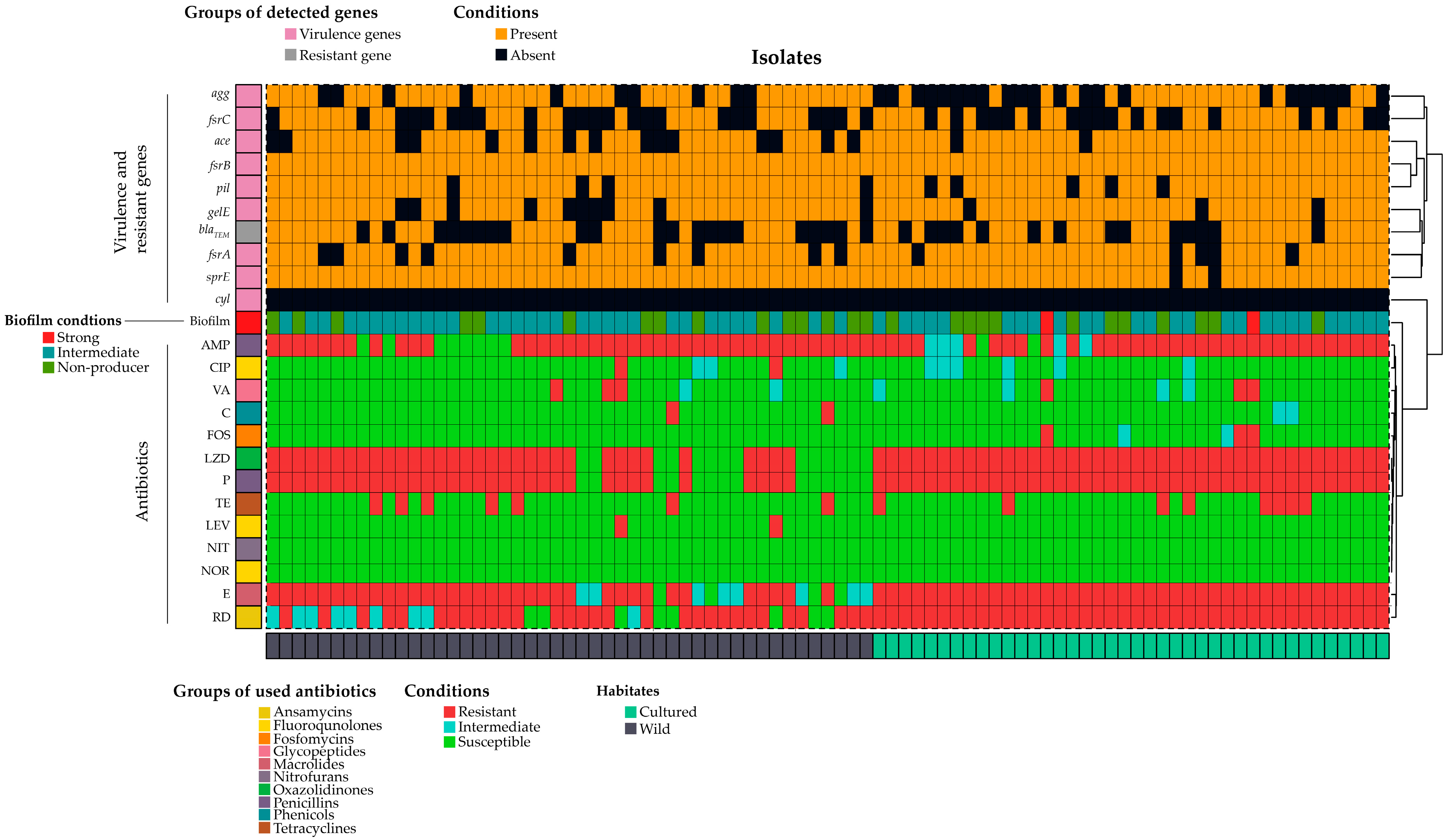 Antibiotics 12 01375 g001