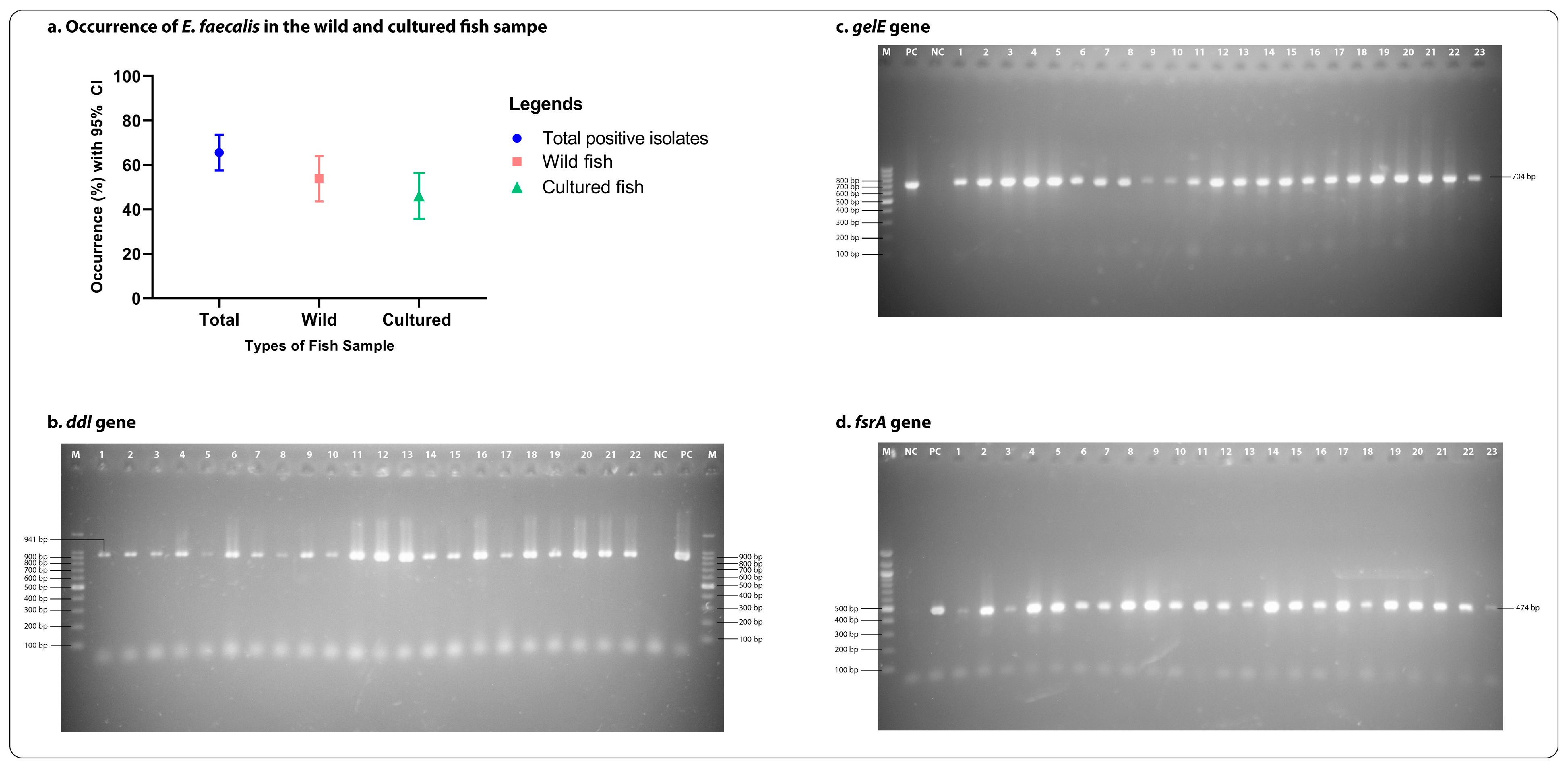 Antibiotics 12 01375 g002