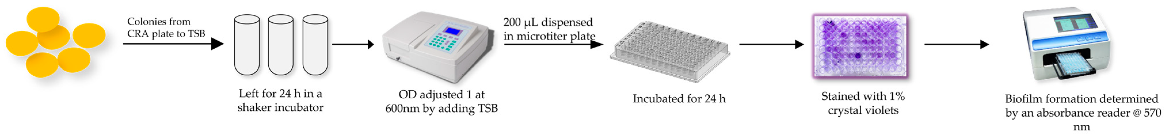 Antibiotics 12 01375 g005