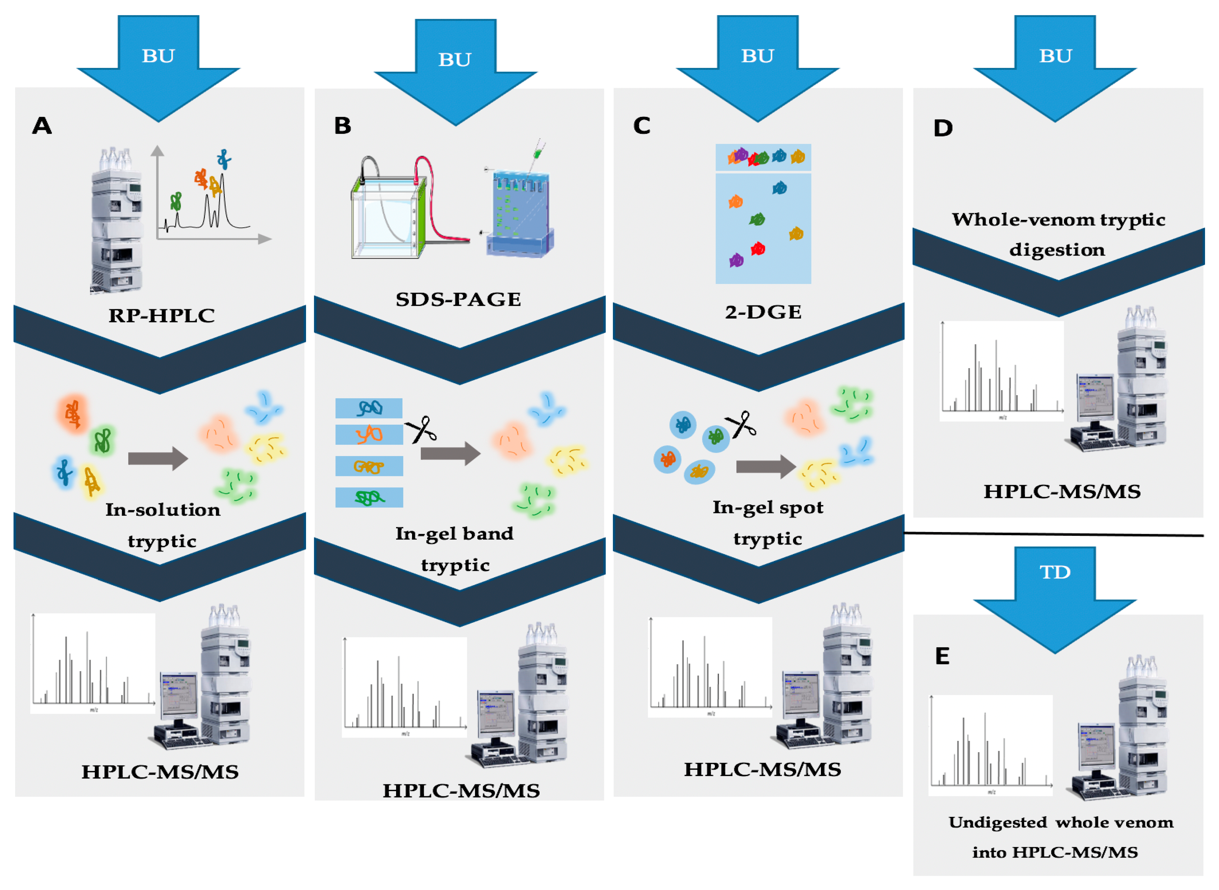 Antibiotics 12 01380 g002 Antibiotics 12 01380 g002