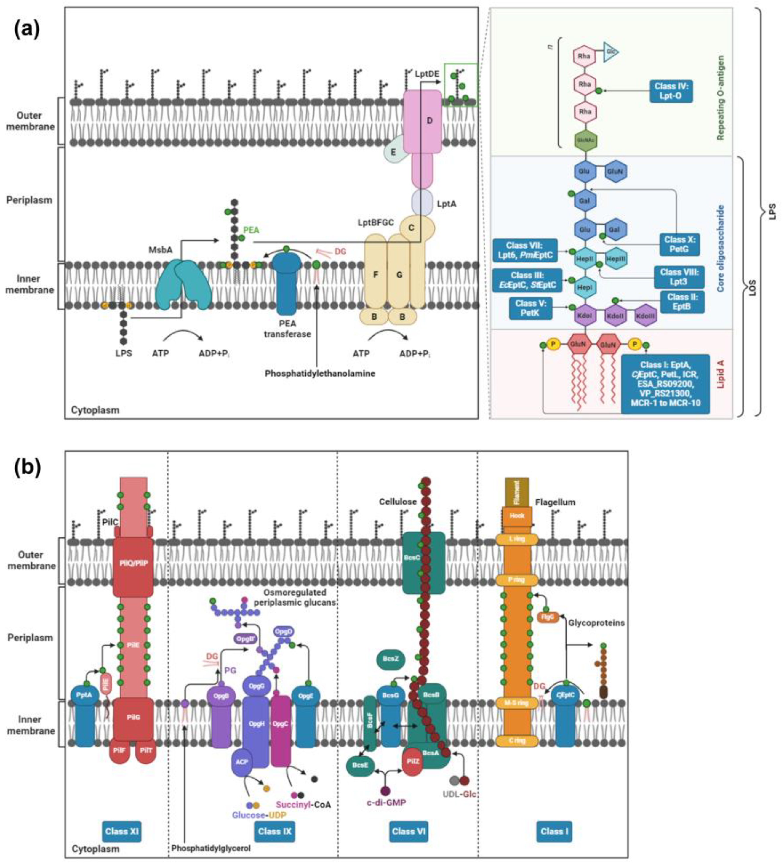 Antibiotics 12 01382 g002 Antibiotics 12 01382 g002