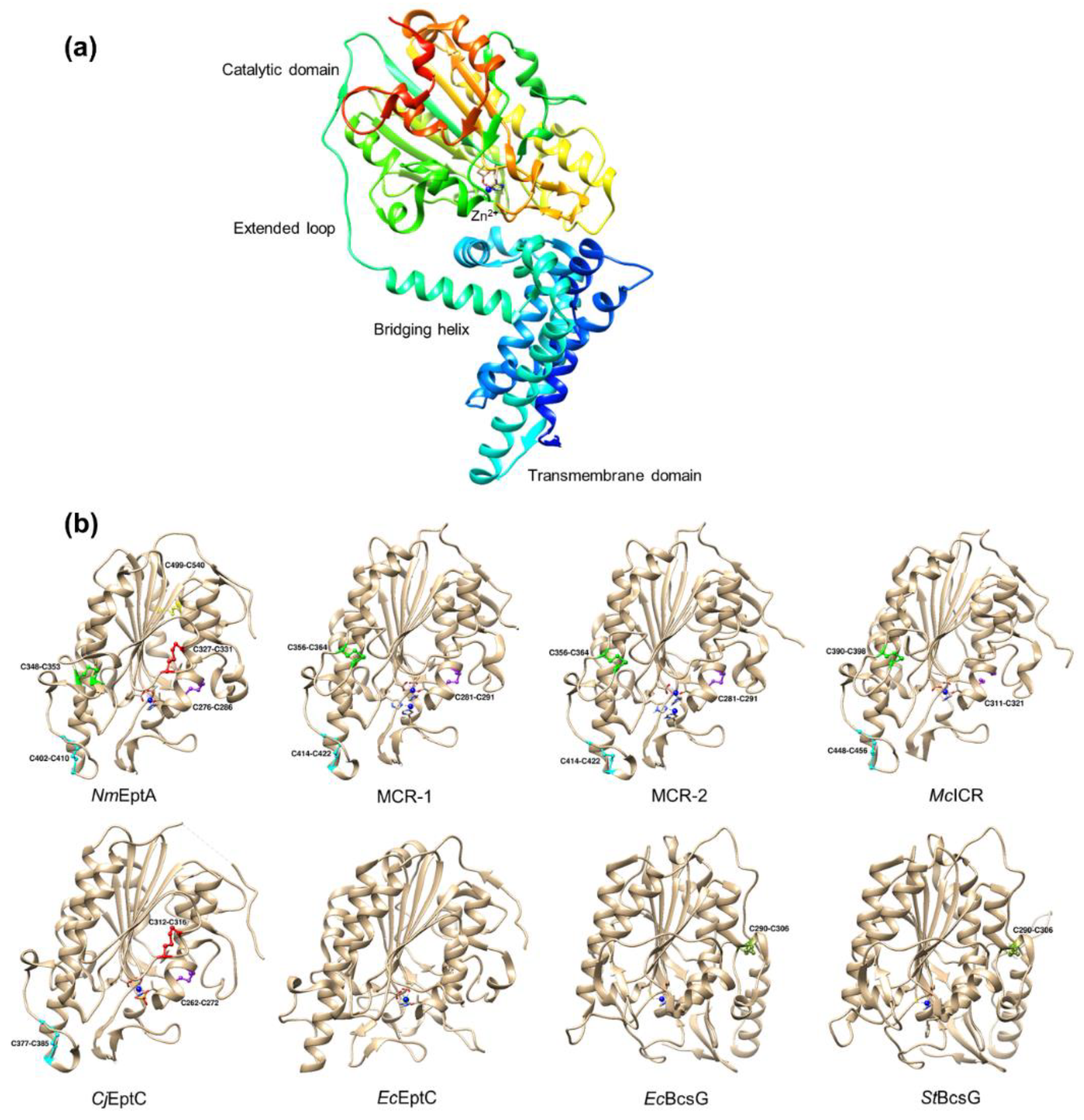Antibiotics 12 01382 g005 Antibiotics 12 01382 g005