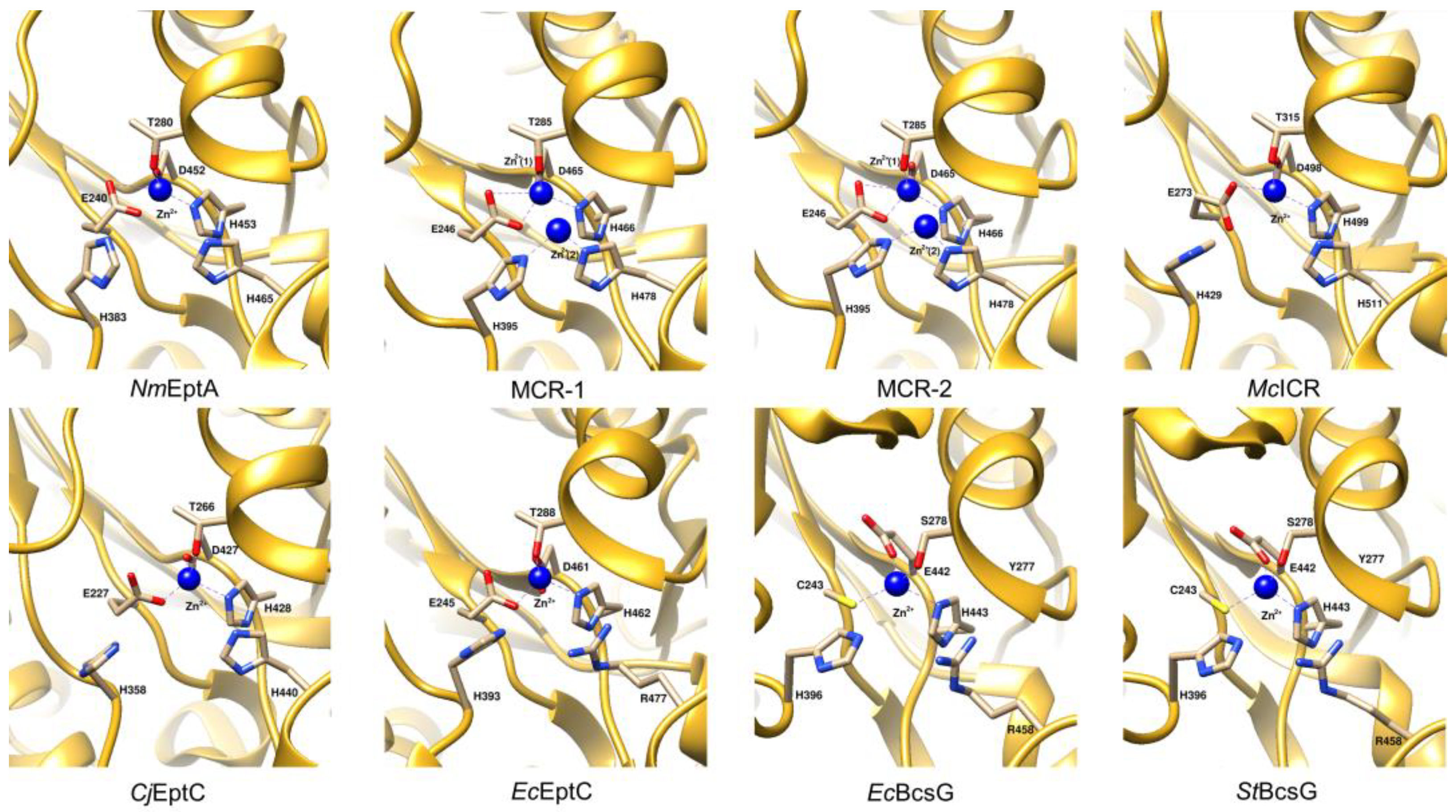 Antibiotics 12 01382 g006 Antibiotics 12 01382 g006