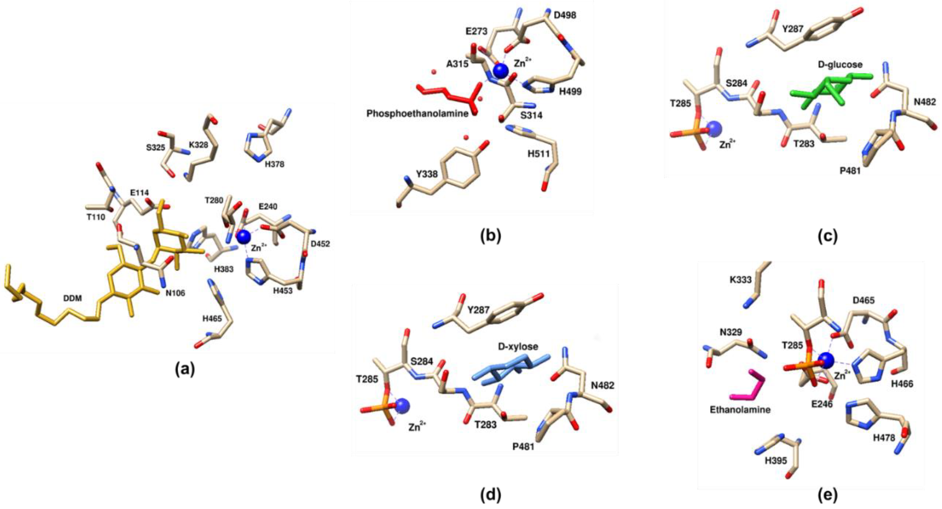Antibiotics 12 01382 g008 Antibiotics 12 01382 g008