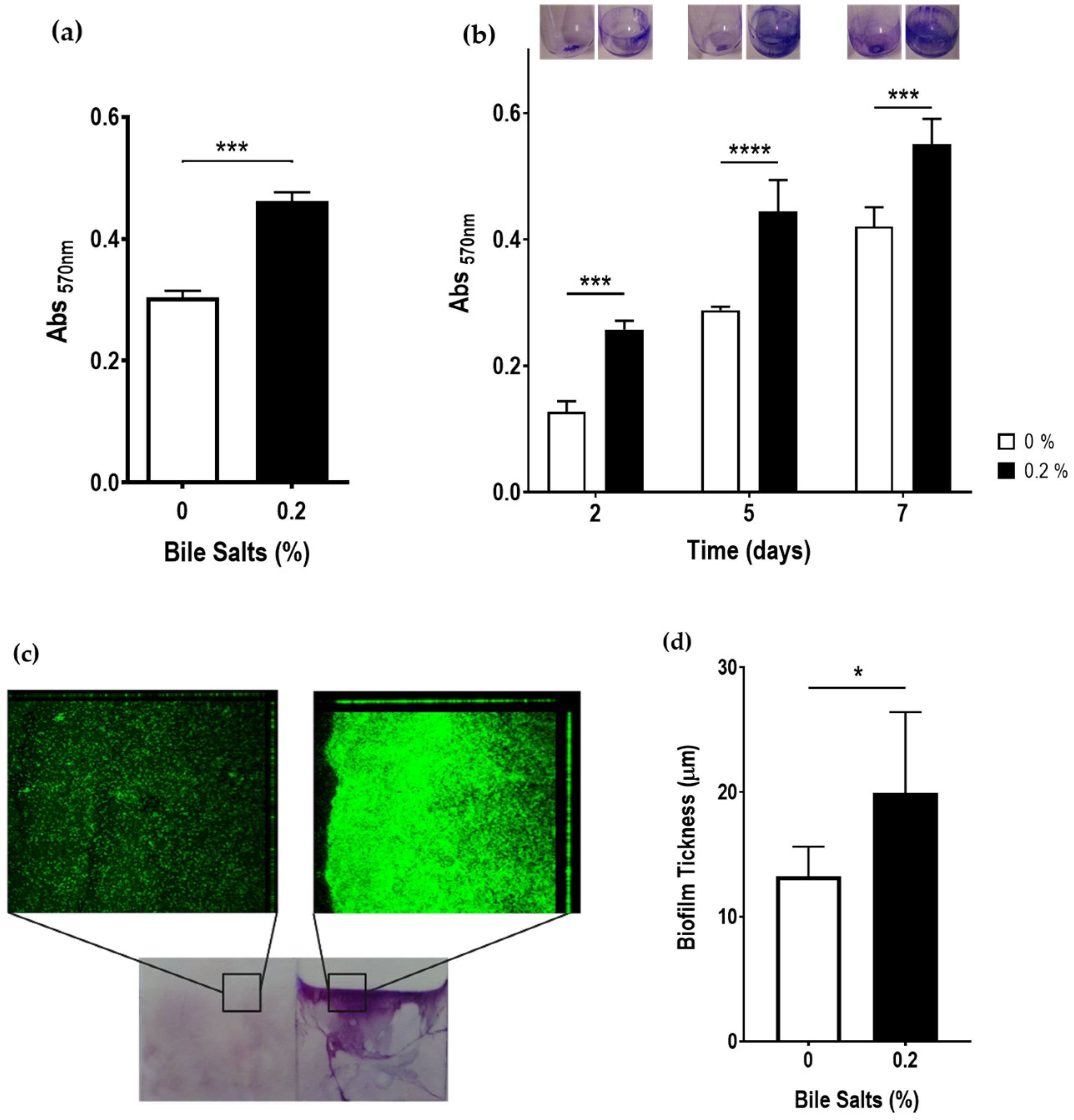 Antibiotics 12 01387 g004
