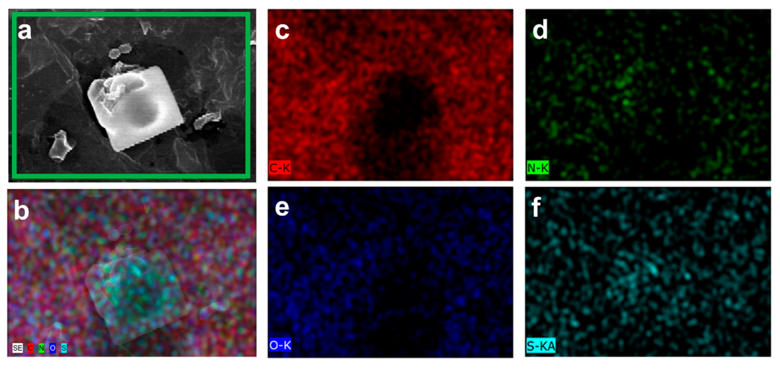 Antibiotics 12 01407 g002