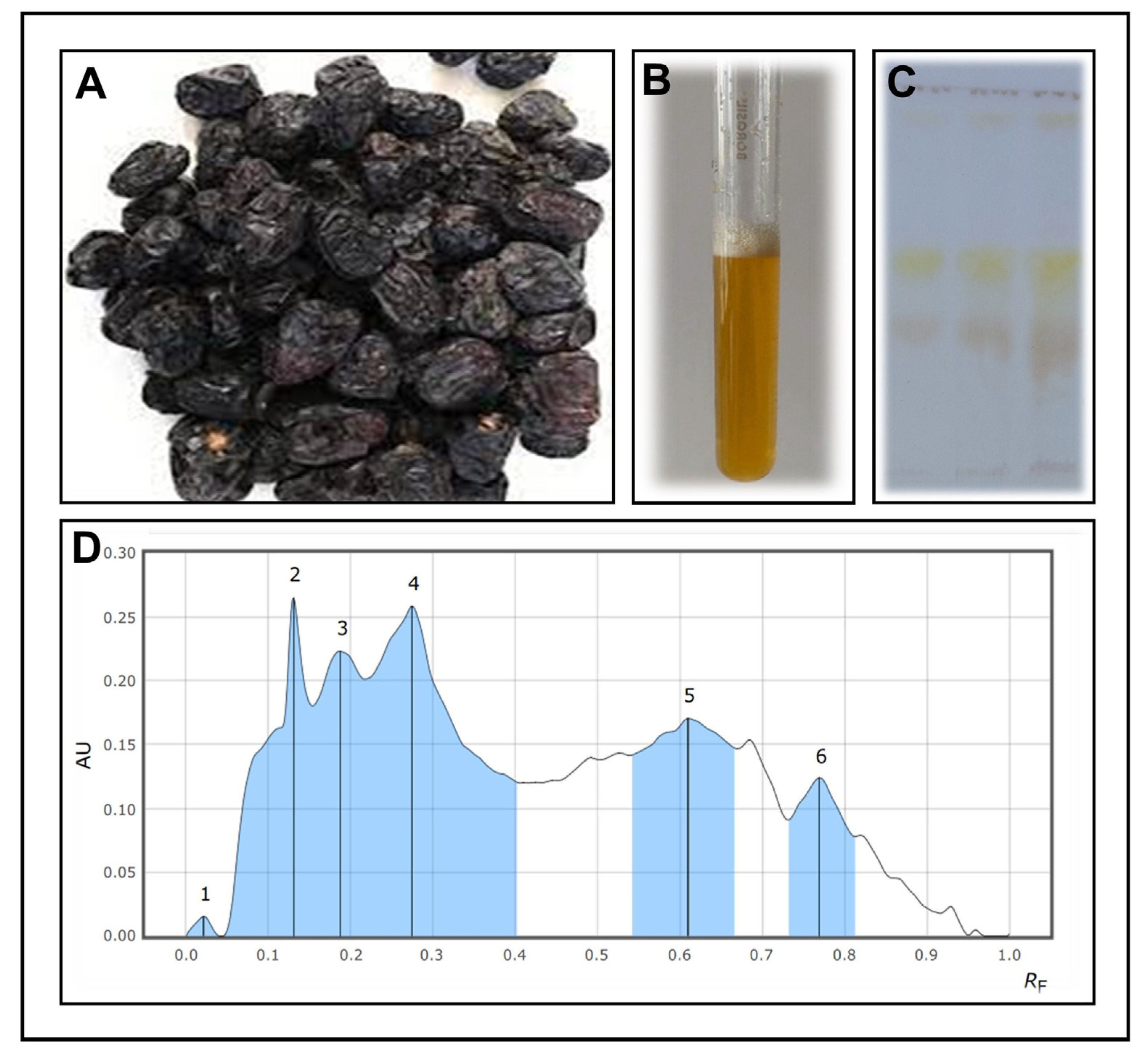 Antibiotics 12 01415 g001