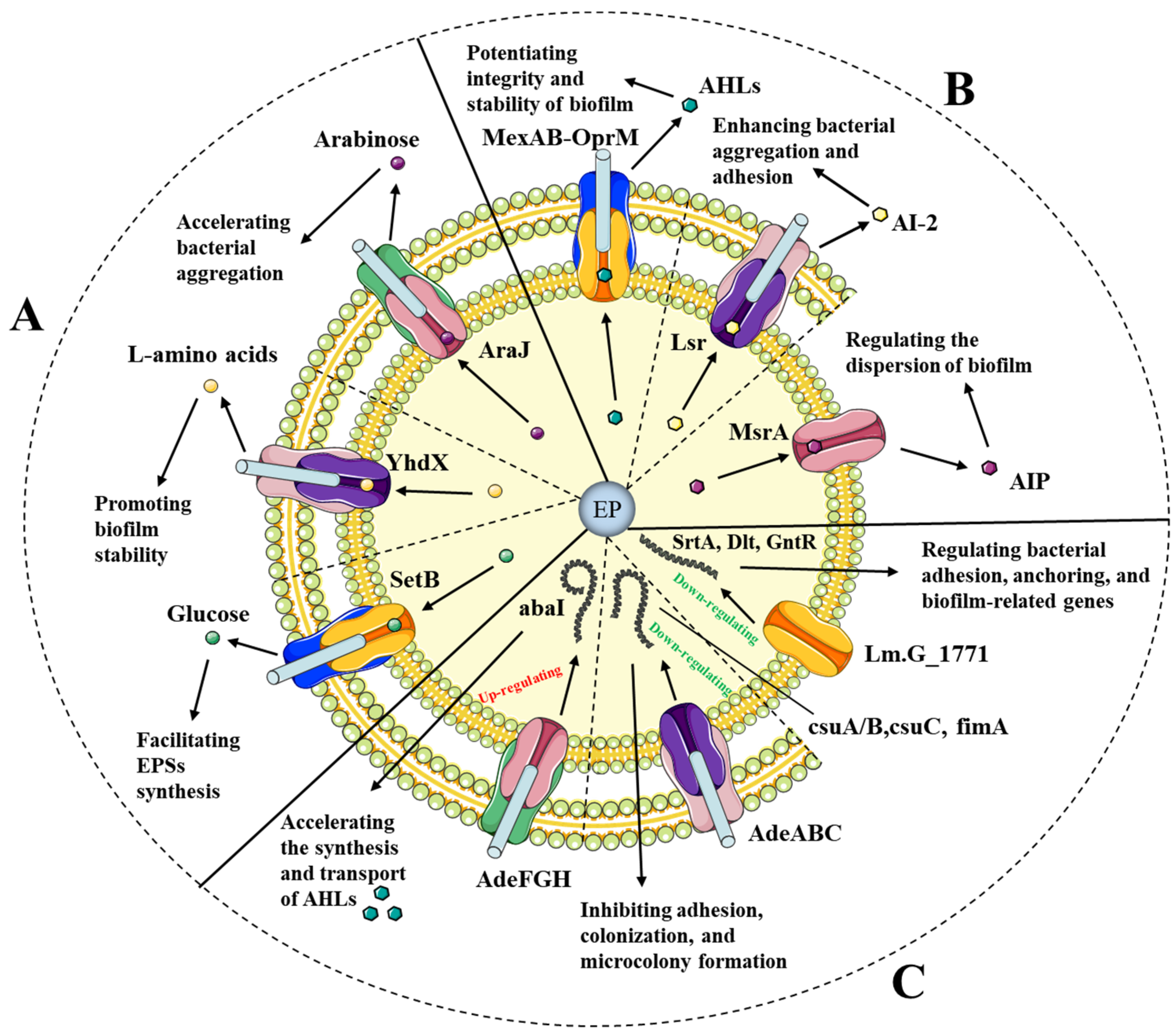 Antibiotics 12 01417 g002 Antibiotics 12 01417 g002