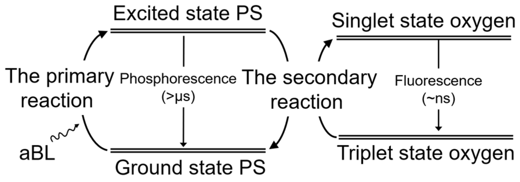 Antibiotics 12 01431 g008