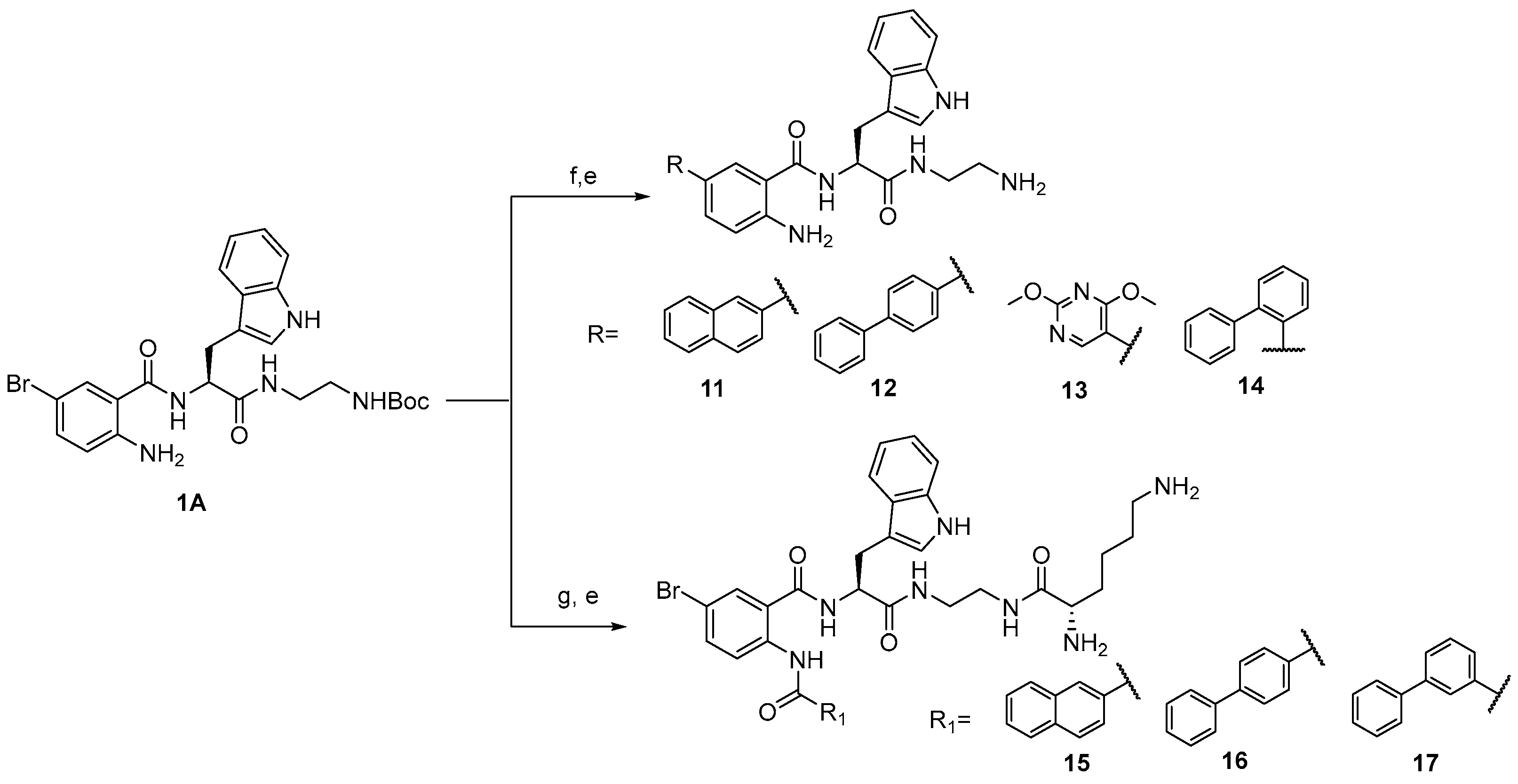Antibiotics 12 01436 sch002