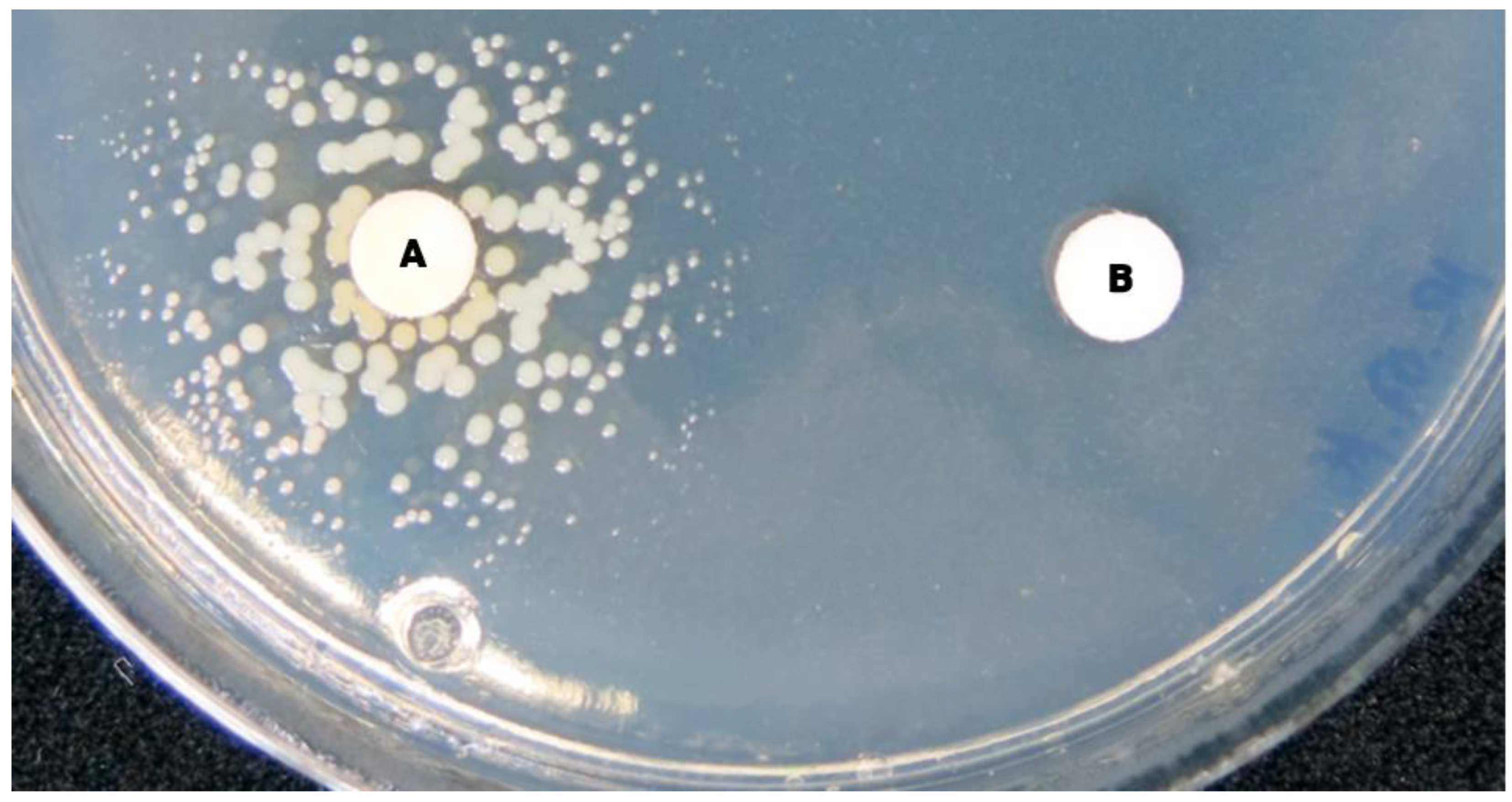 Antibiotics 12 01446 g003 Antibiotics 12 01446 g003