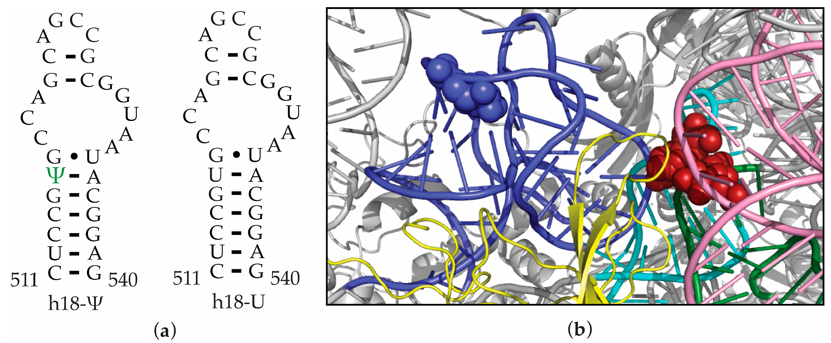 Antibiotics 12 01447 g001