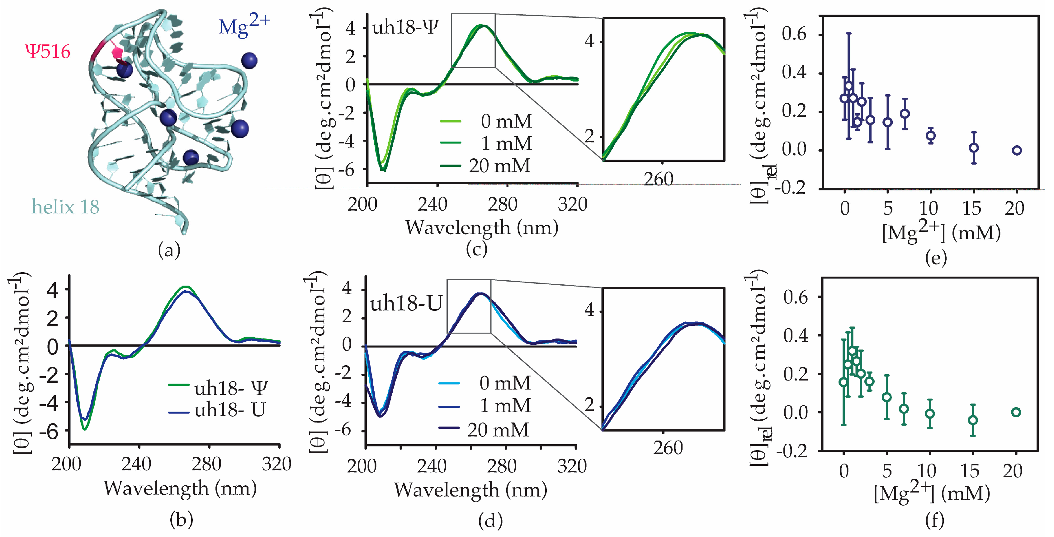 Antibiotics 12 01447 g005