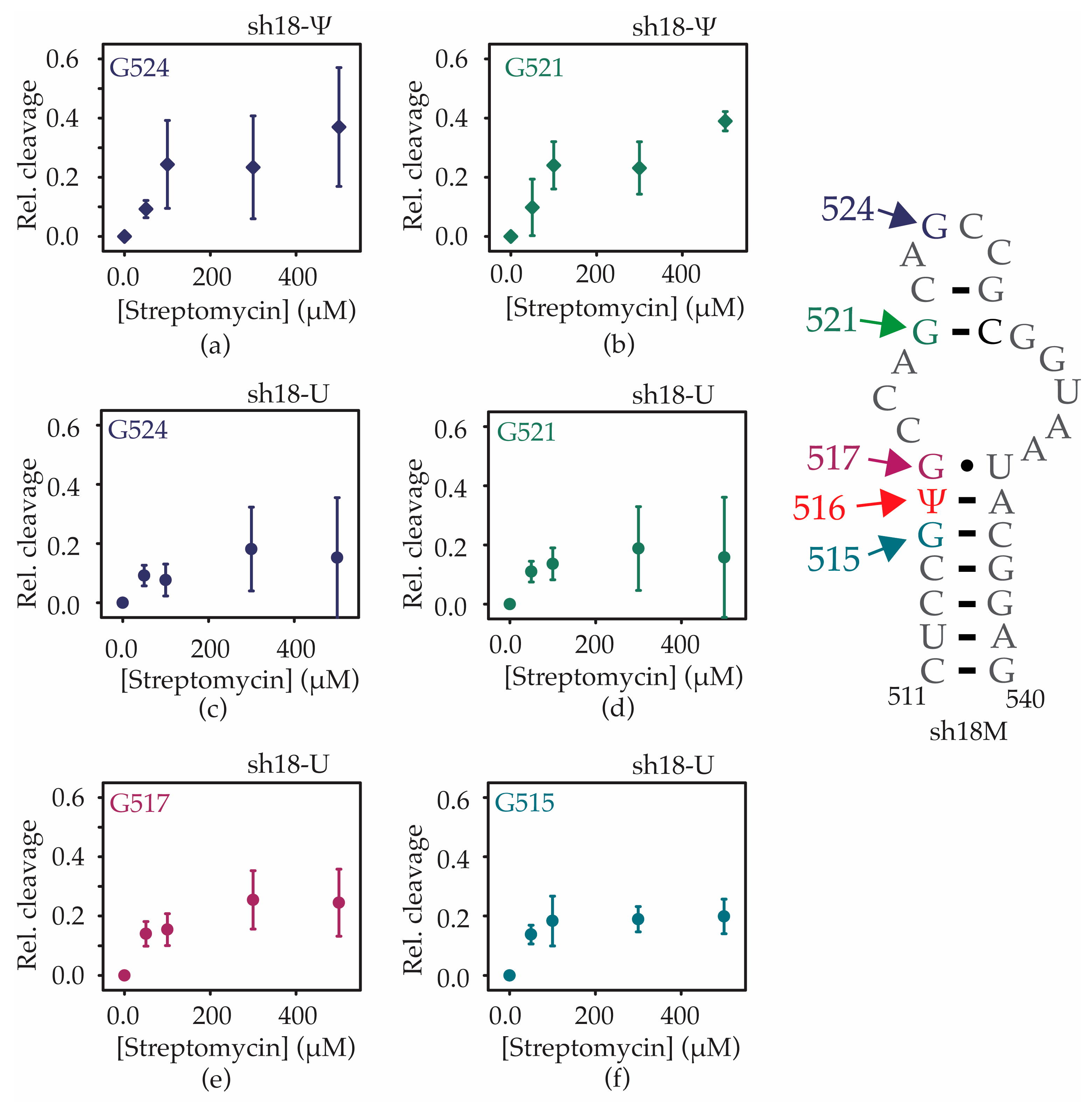 Antibiotics 12 01447 g008