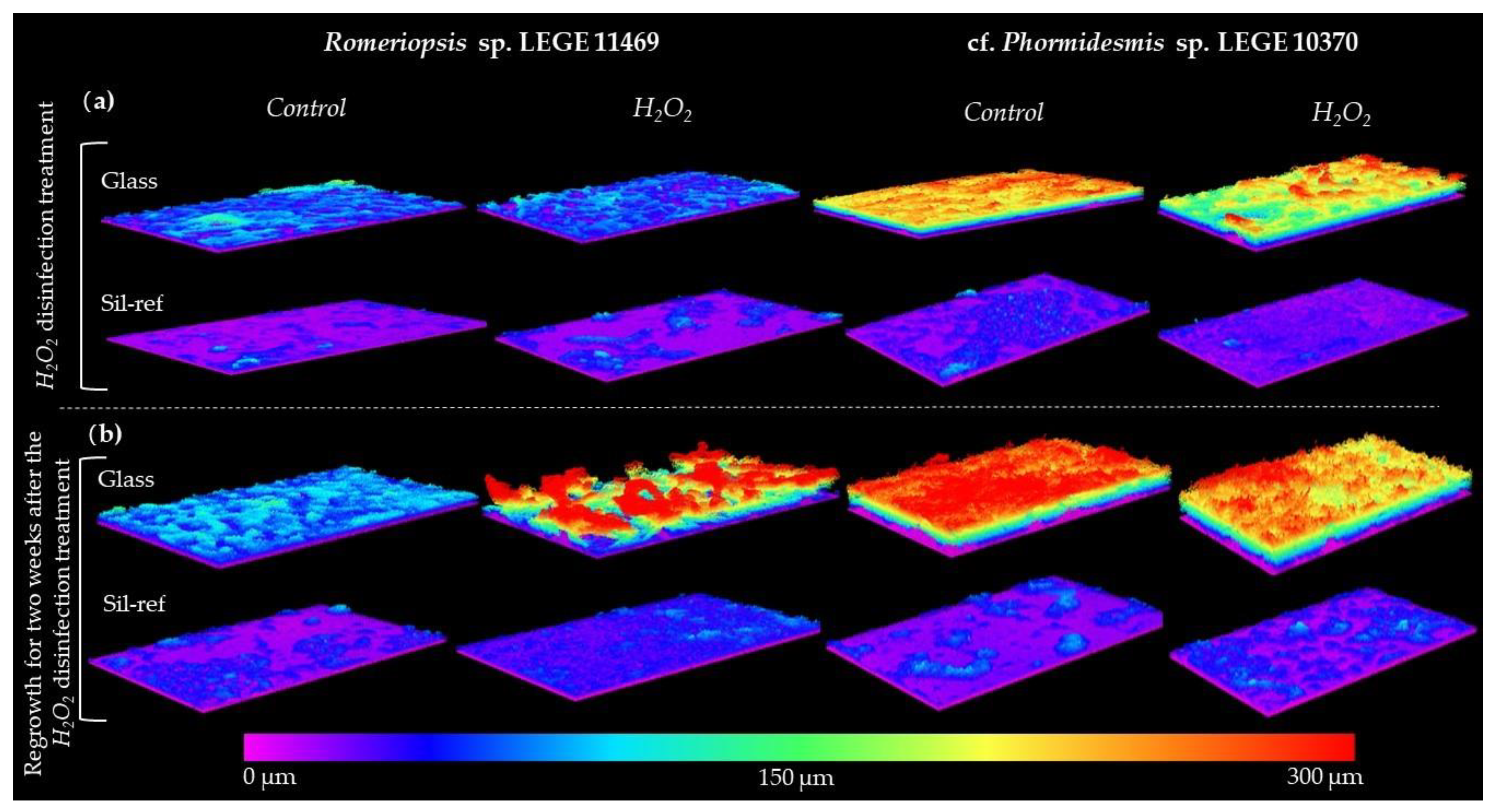 Antibiotics 12 01450 g003