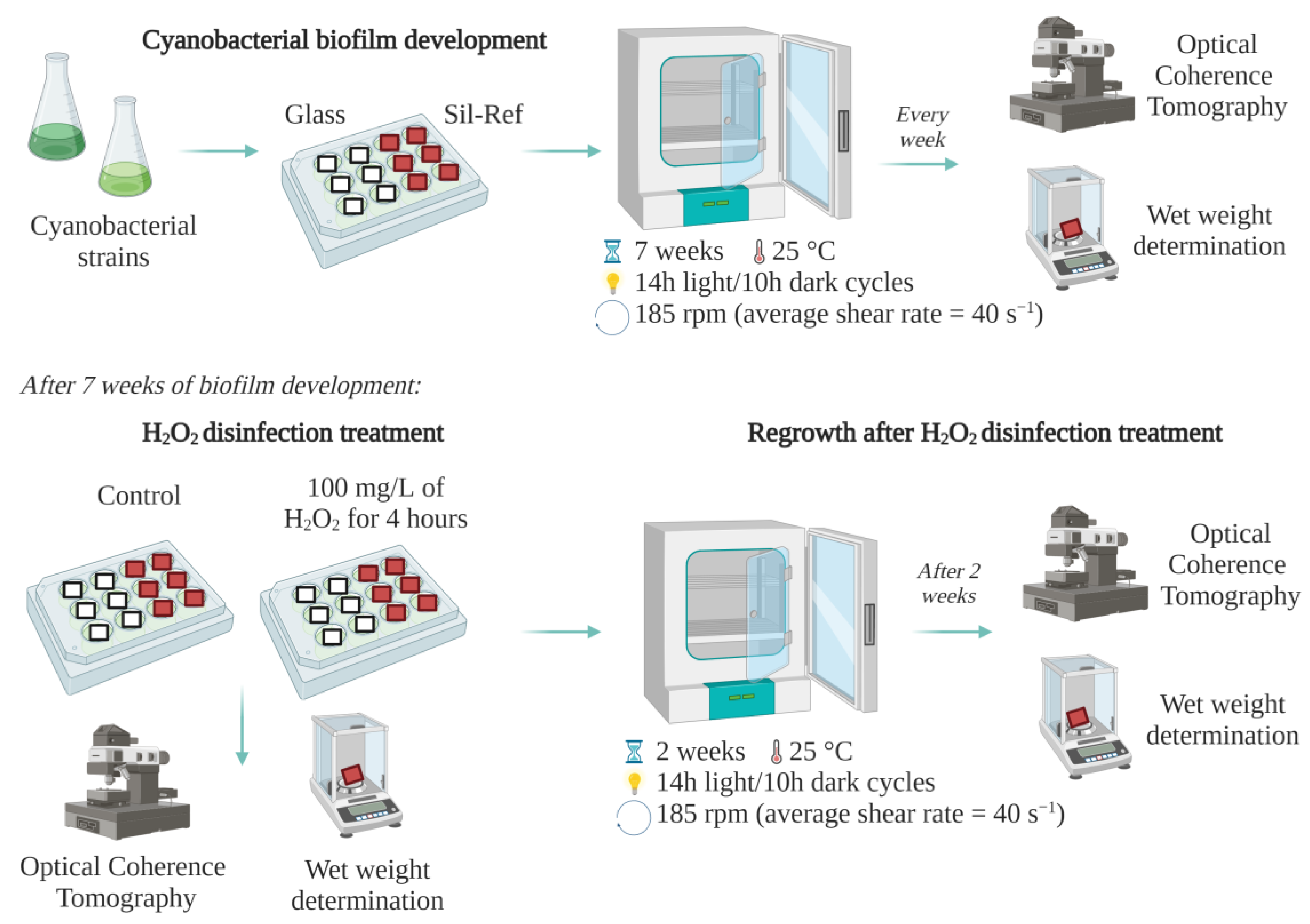 Antibiotics 12 01450 g004