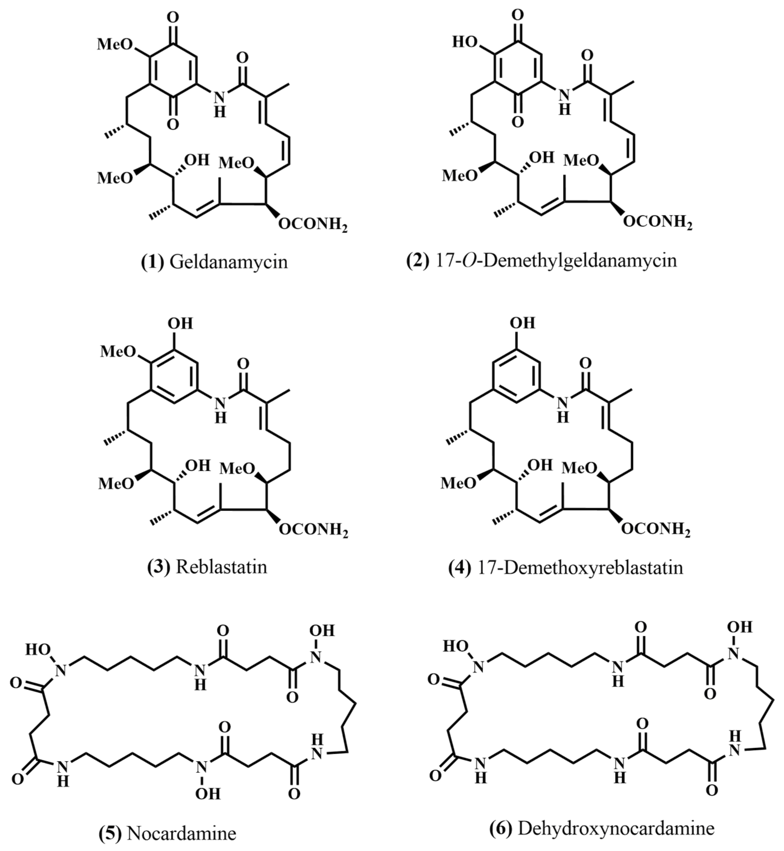 Antibiotics 12 01467 g005
