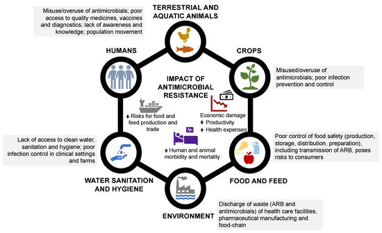 A Study on the Permeability and Damage Characteristics of