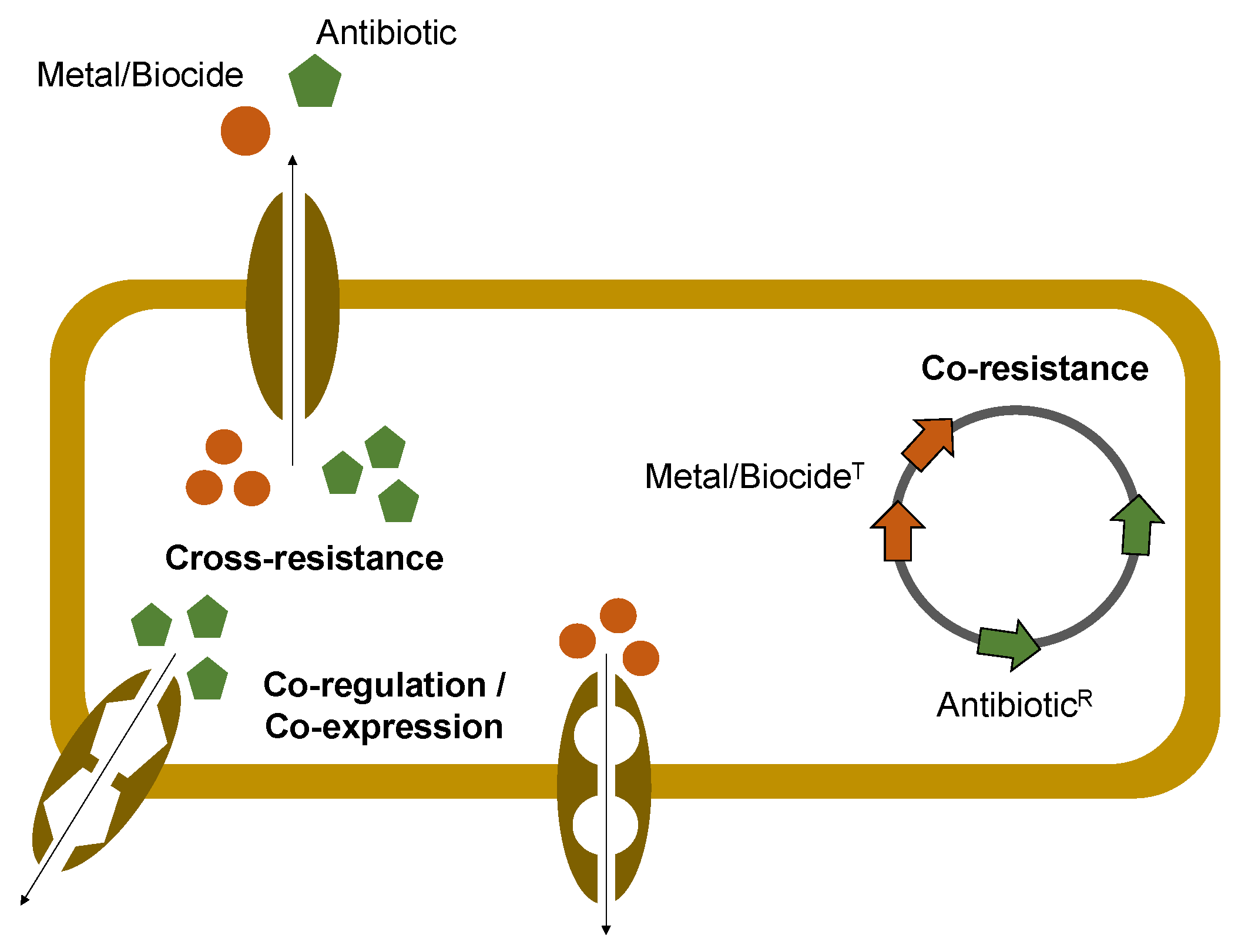 Antibiotics 12 01474 g002