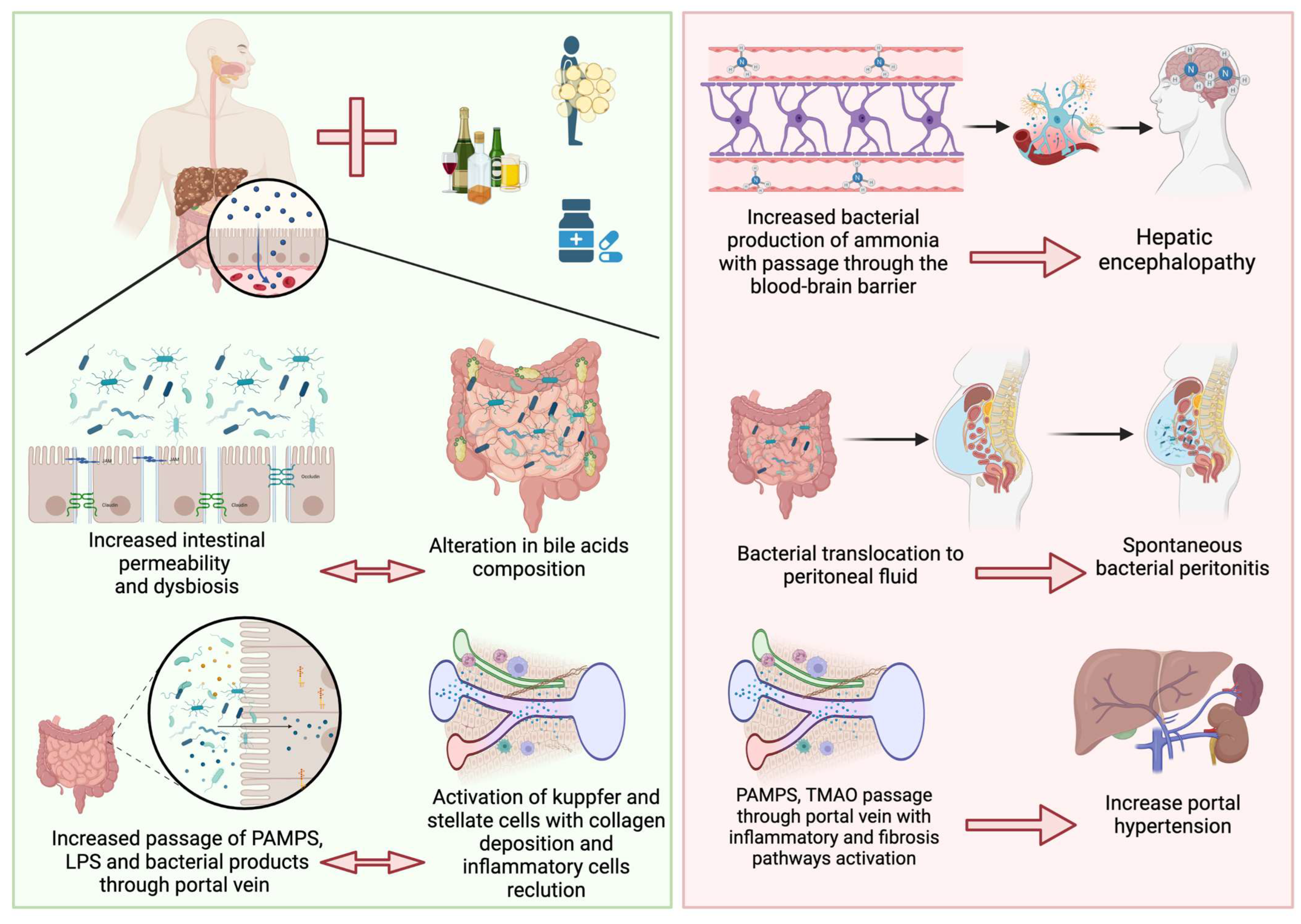 Antibiotics 12 01475 g001 Antibiotics 12 01475 g001