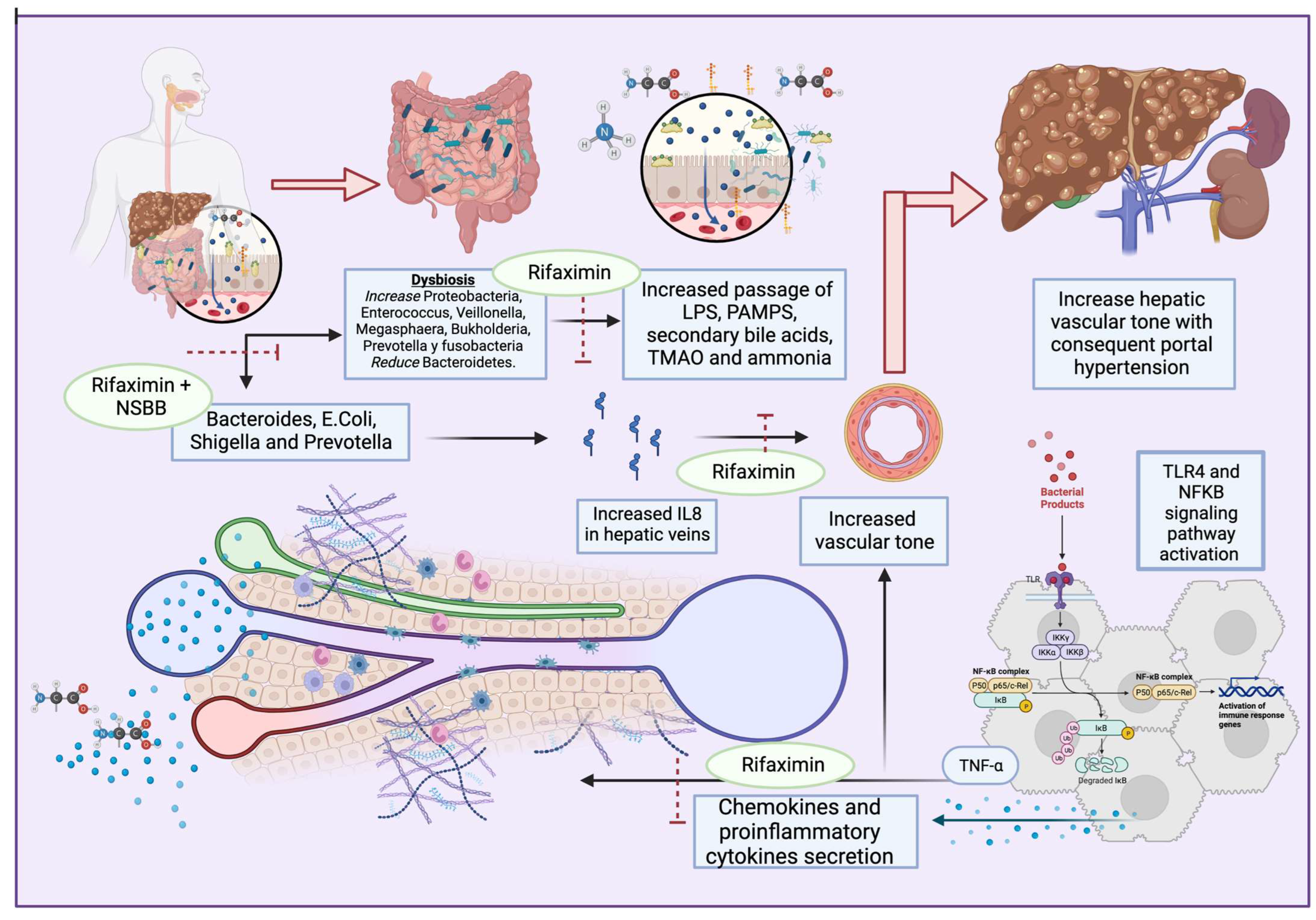 Antibiotics 12 01475 g002 Antibiotics 12 01475 g002