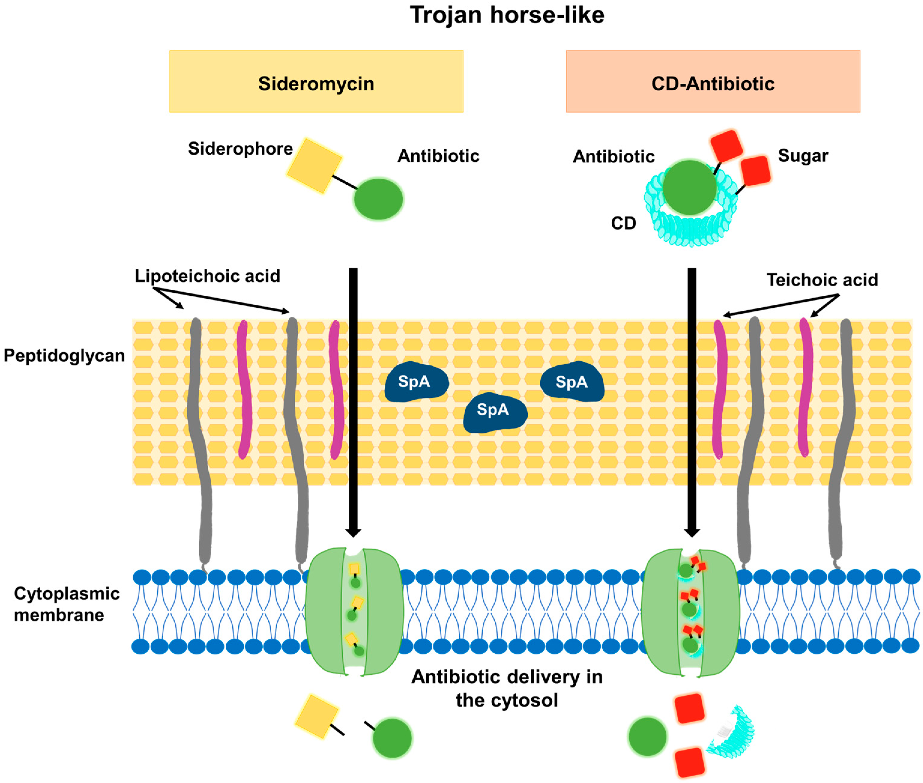 Antibiotics 12 01477 g004
